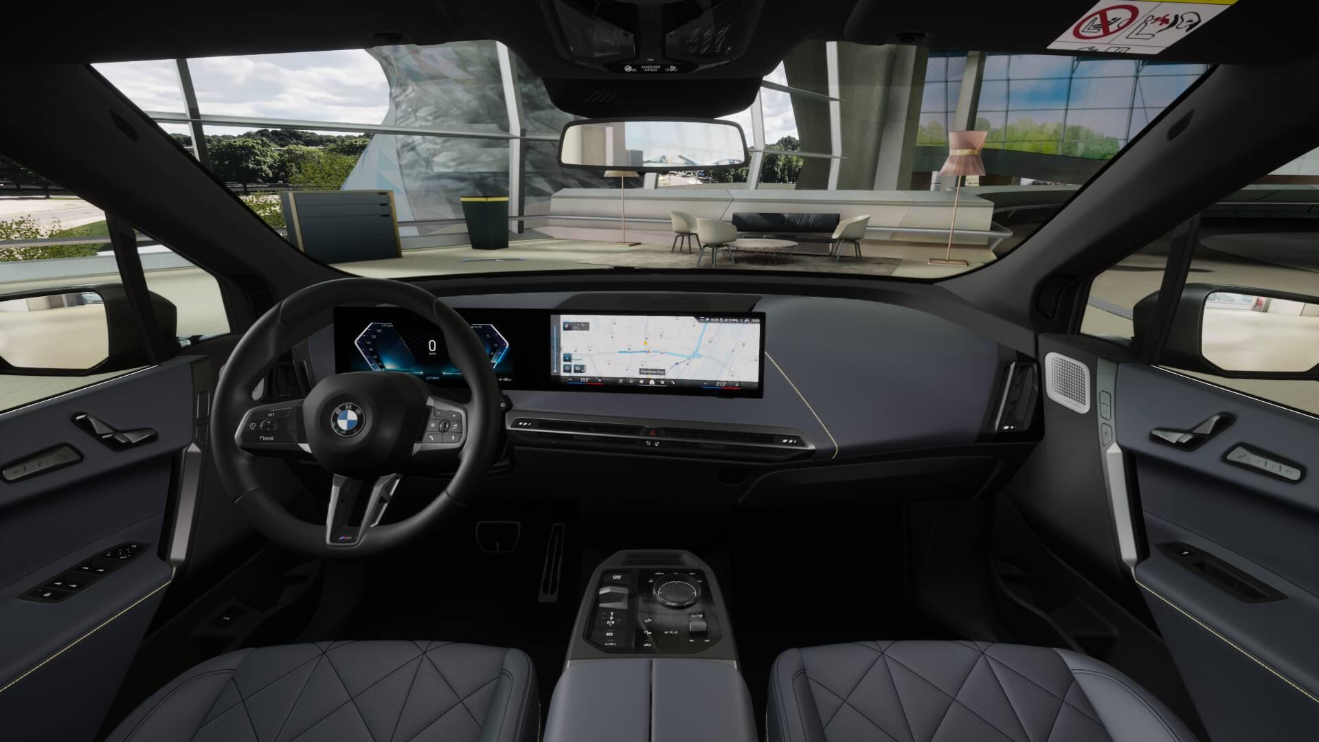 BMW iX xDrive60-image-9