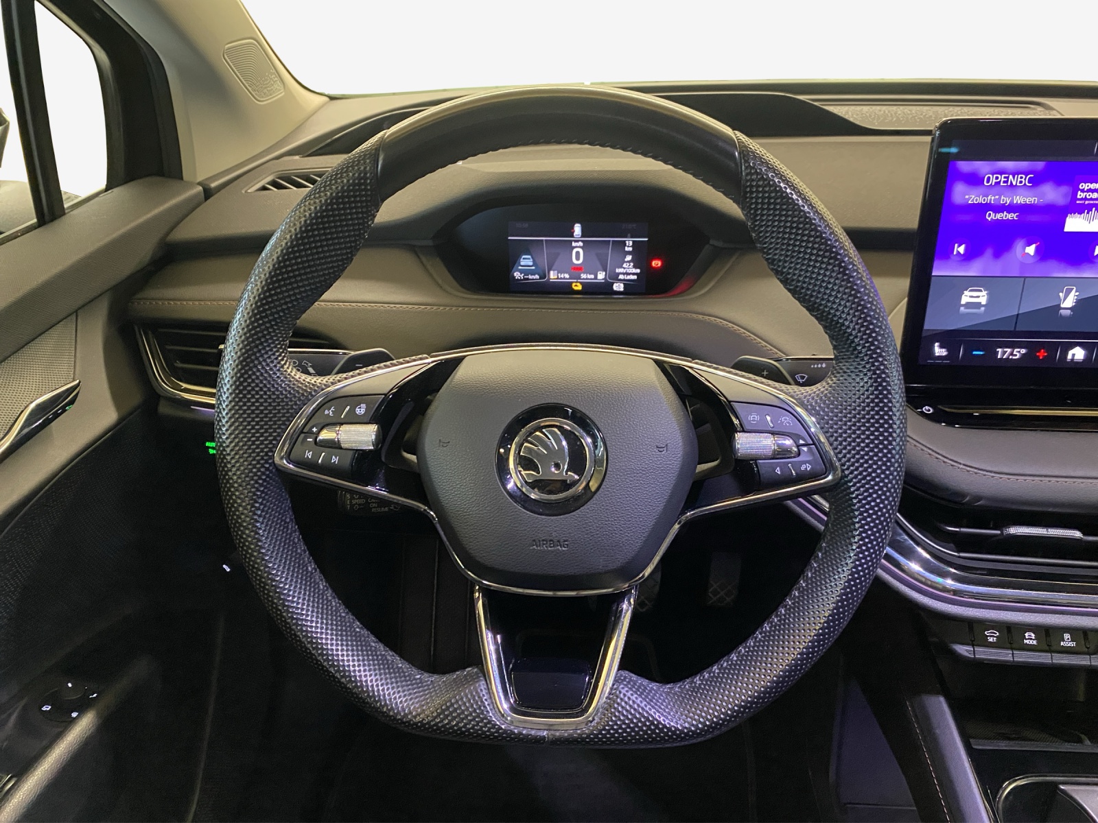SKODA Enyaq iV 80x-image-9