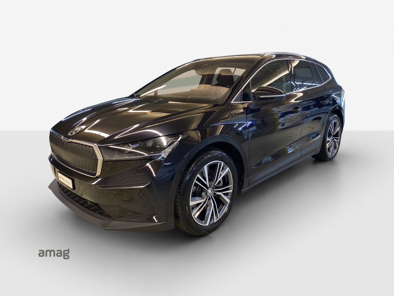 SKODA Enyaq iV 80x-image-0