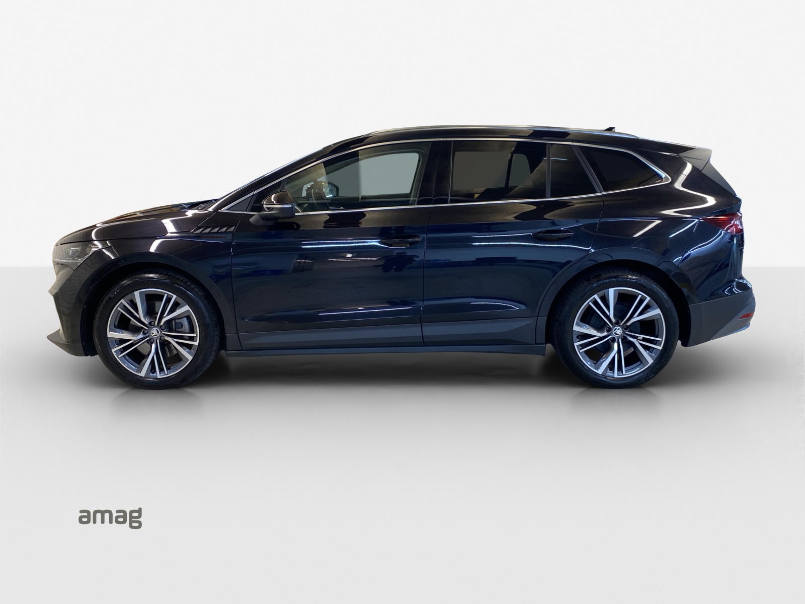 SKODA Enyaq iV 80x-image-1