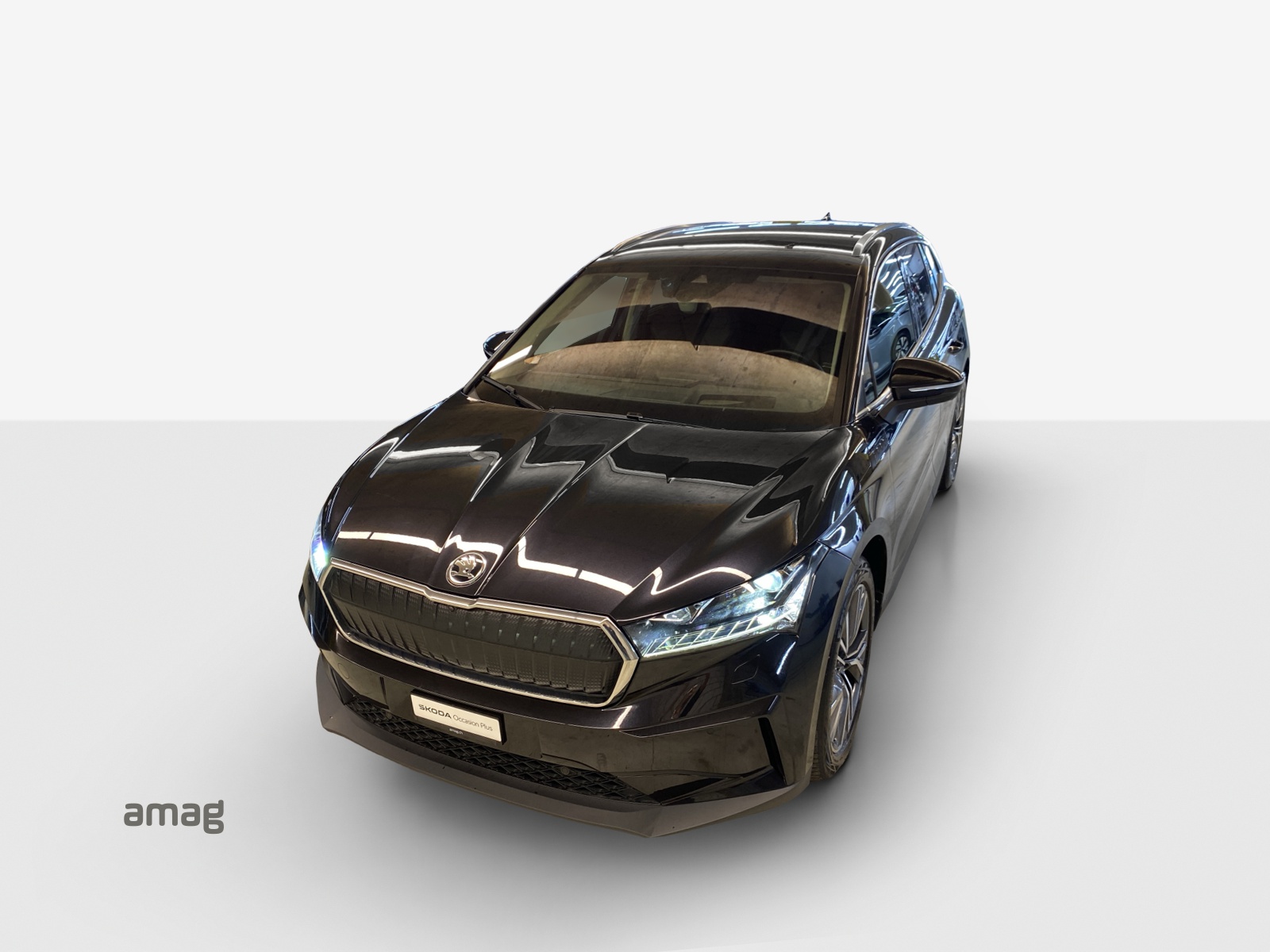SKODA Enyaq iV 80x-image-15
