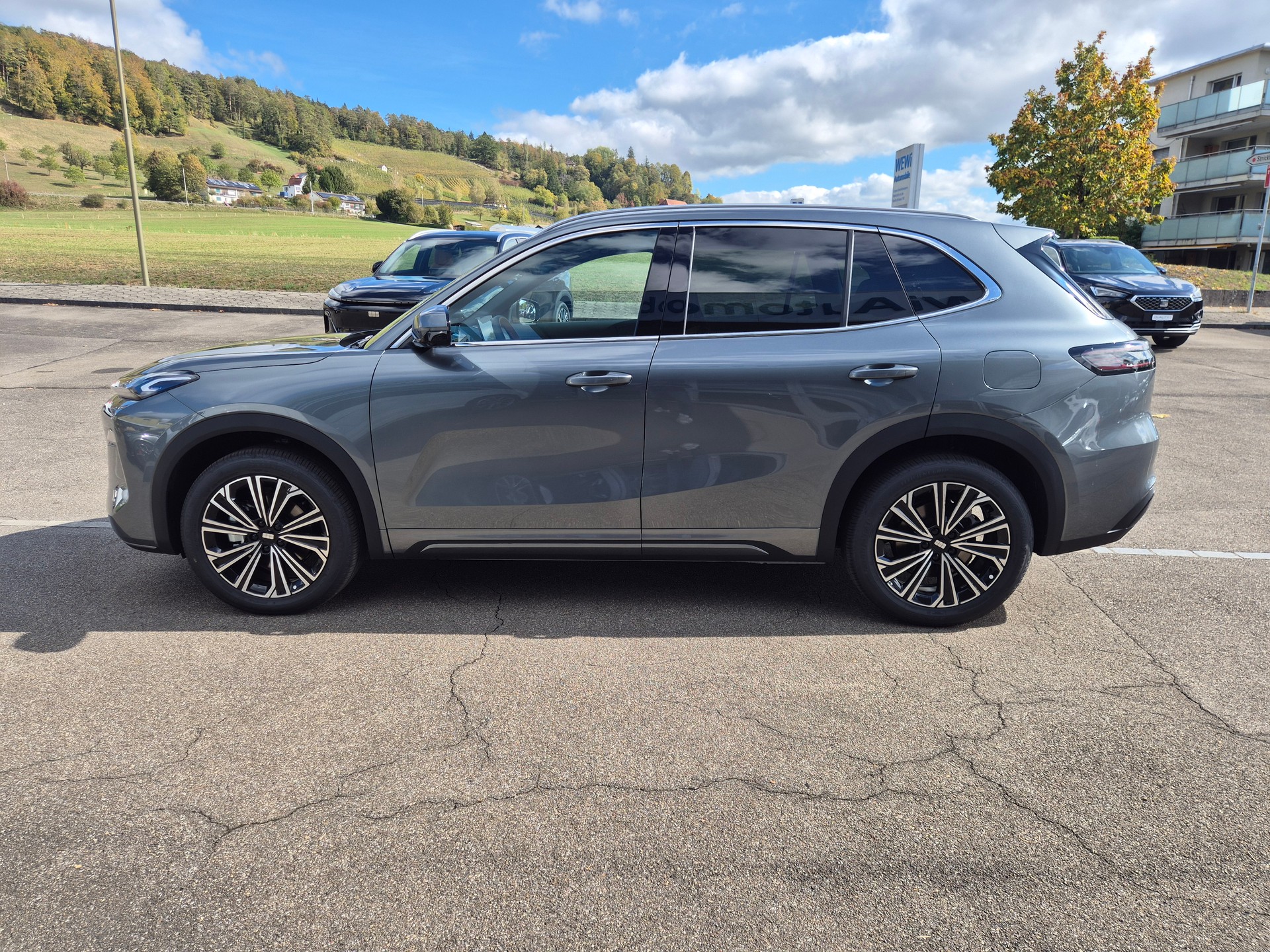 GEELY STARRAY EM-i Max Plug in Hybrid 29.8kW Akku-image-8