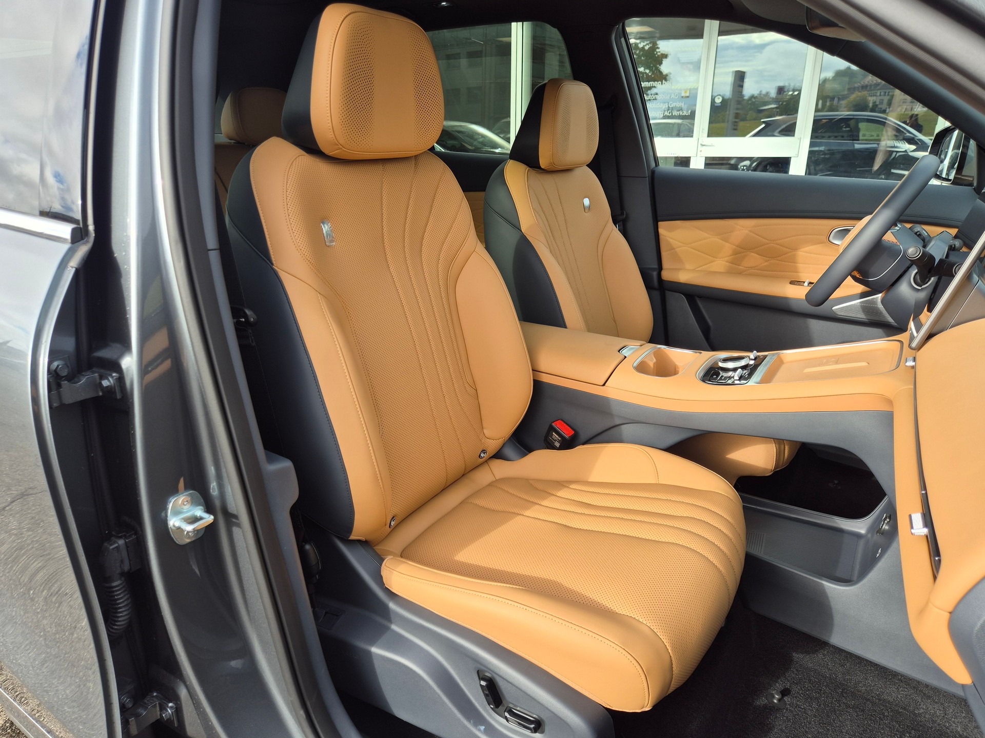 GEELY STARRAY EM-i Max Plug in Hybrid 29.8kW Akku-image-19