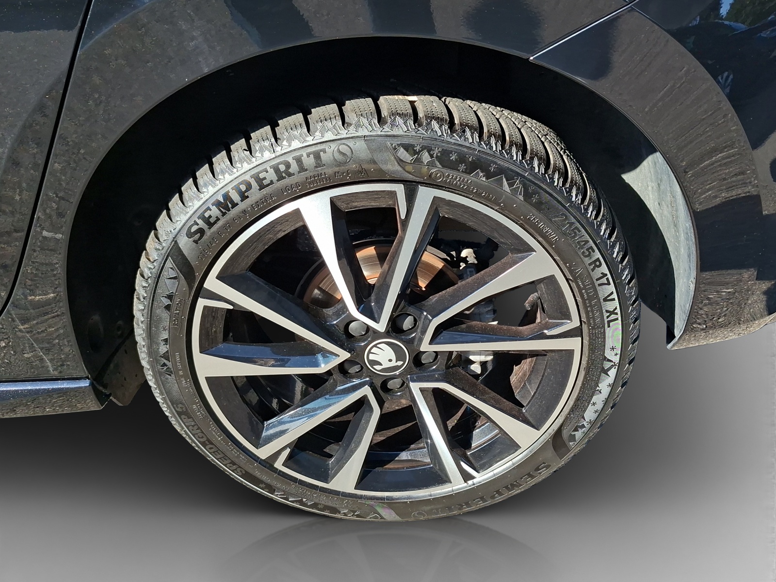 SKODA Fabia 1.5 TSI Monte Carlo DSG-image-13