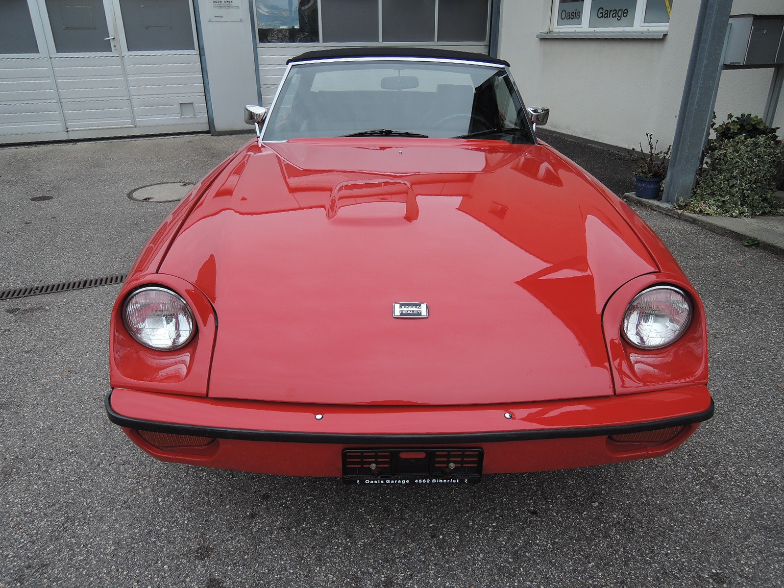 JENSEN HEALEY-image-0