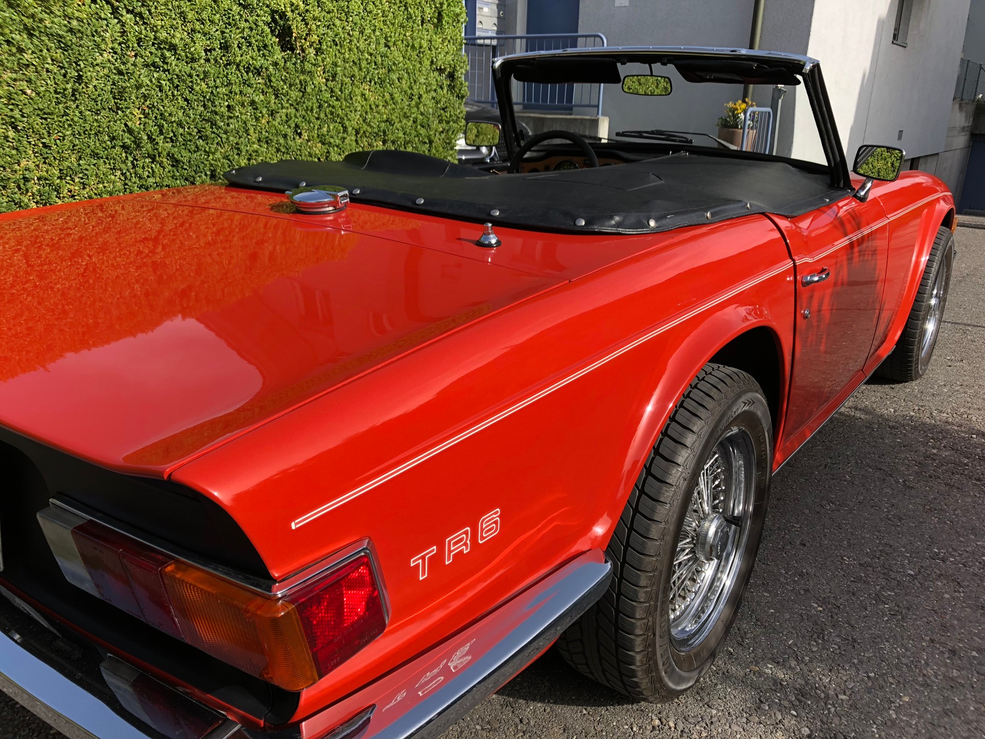 TRIUMPH TR6-image-7