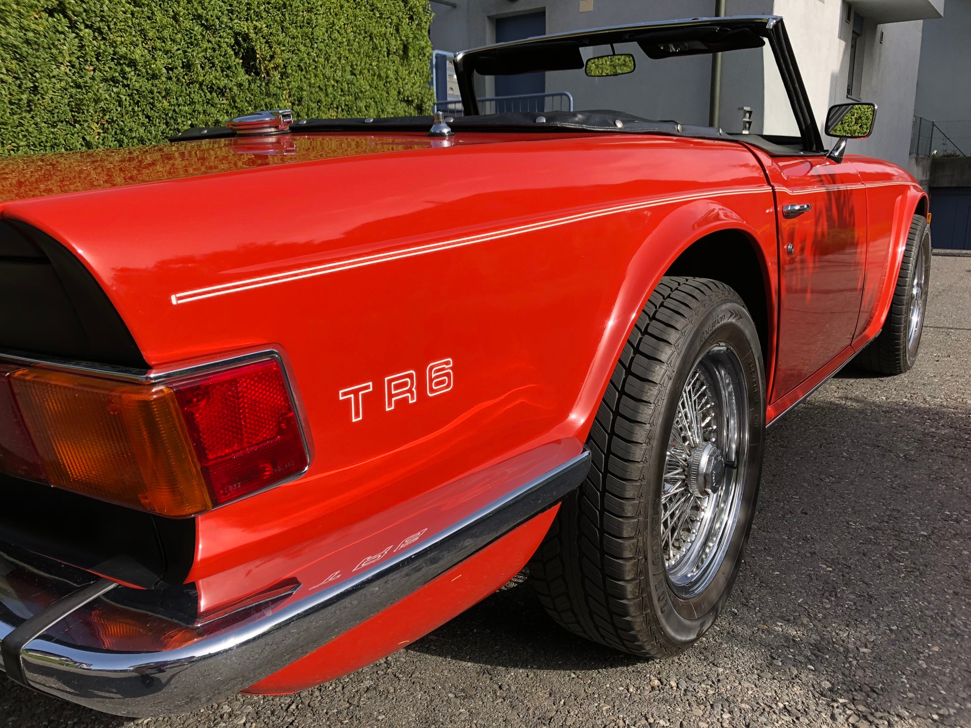 TRIUMPH TR6-image-6