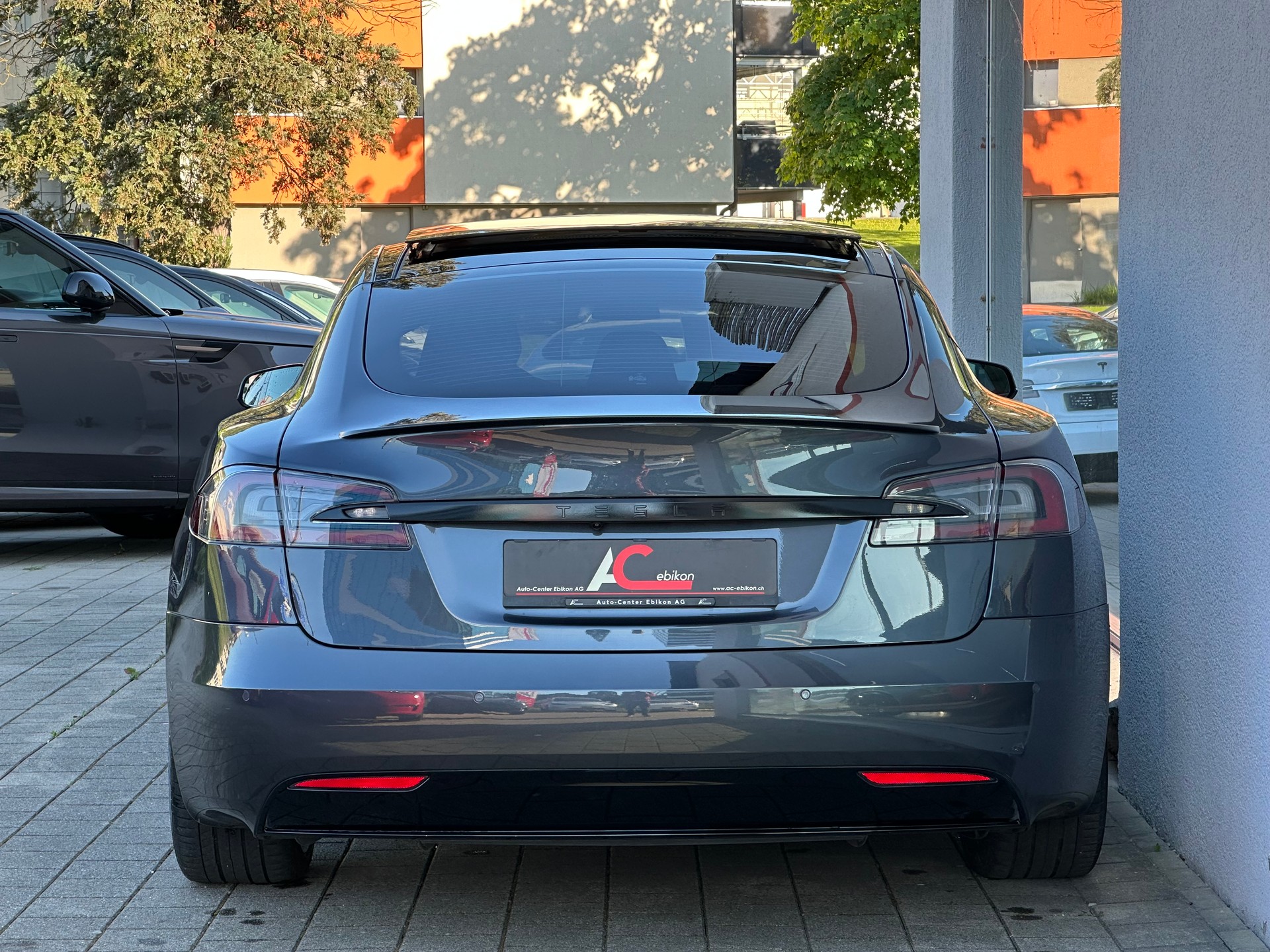 TESLA Model S 100 D Performance-image-4
