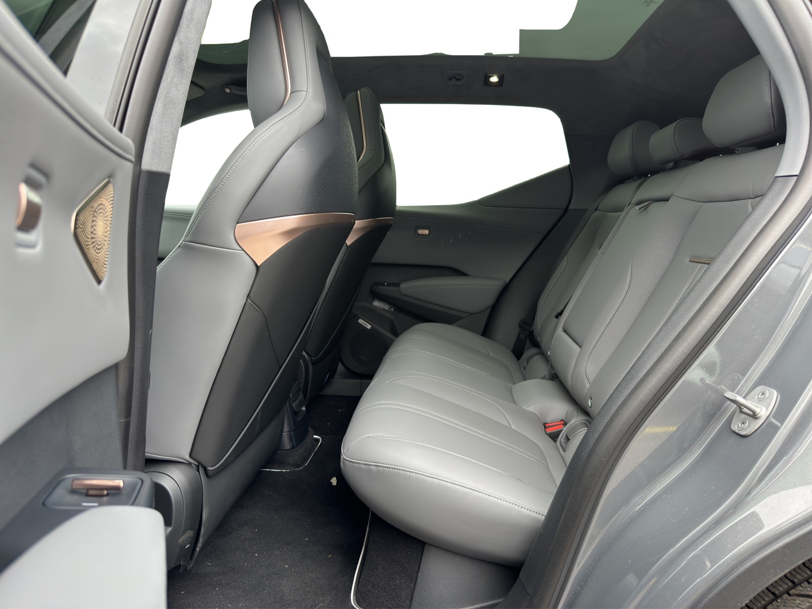 ZEEKR X Privilege AWD-image-3