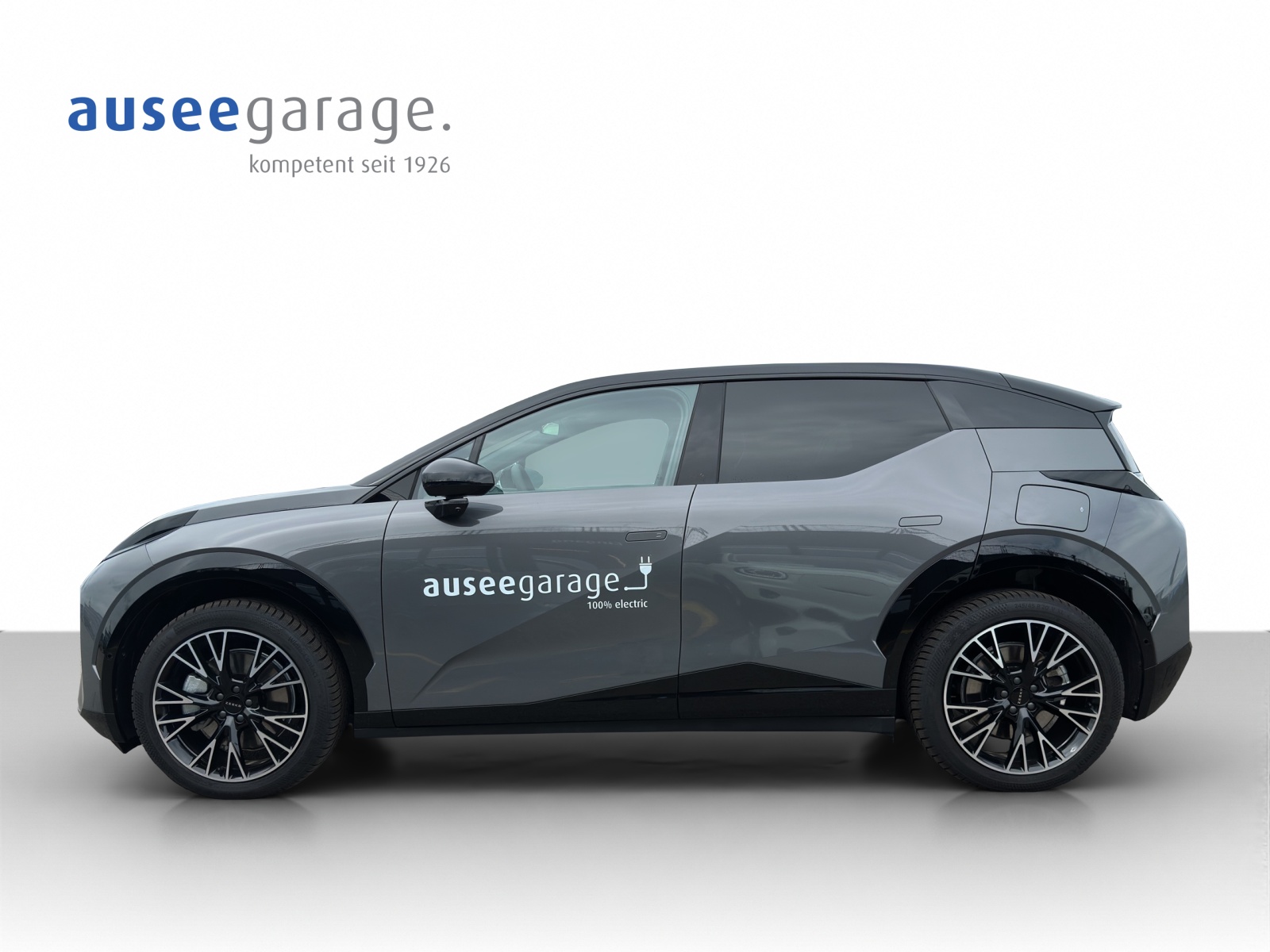 ZEEKR X Privilege AWD-image-2