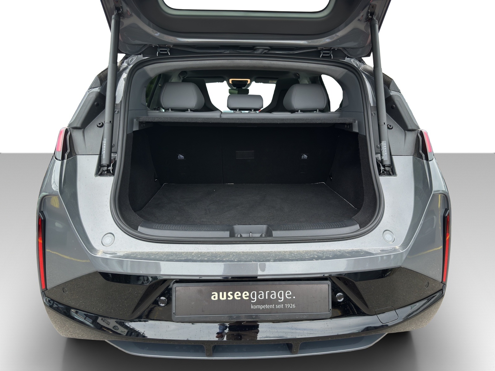 ZEEKR X Privilege AWD-image-9