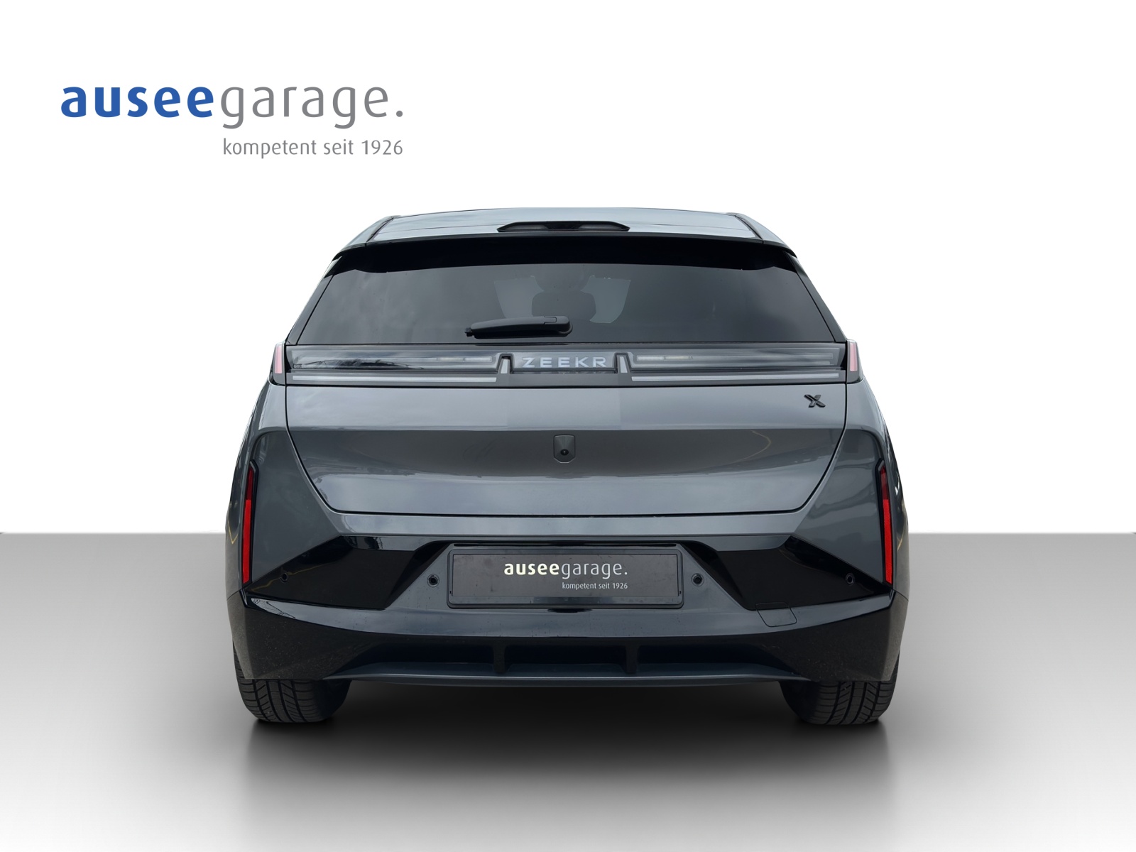 ZEEKR X Privilege AWD-image-1