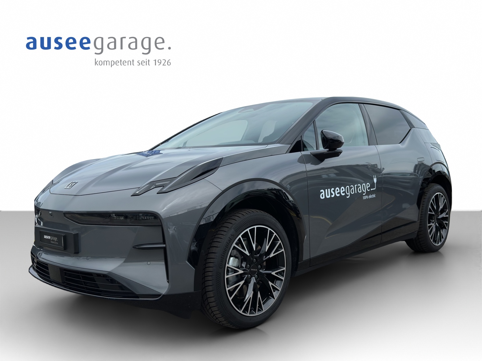 ZEEKR X Privilege AWD-image-0