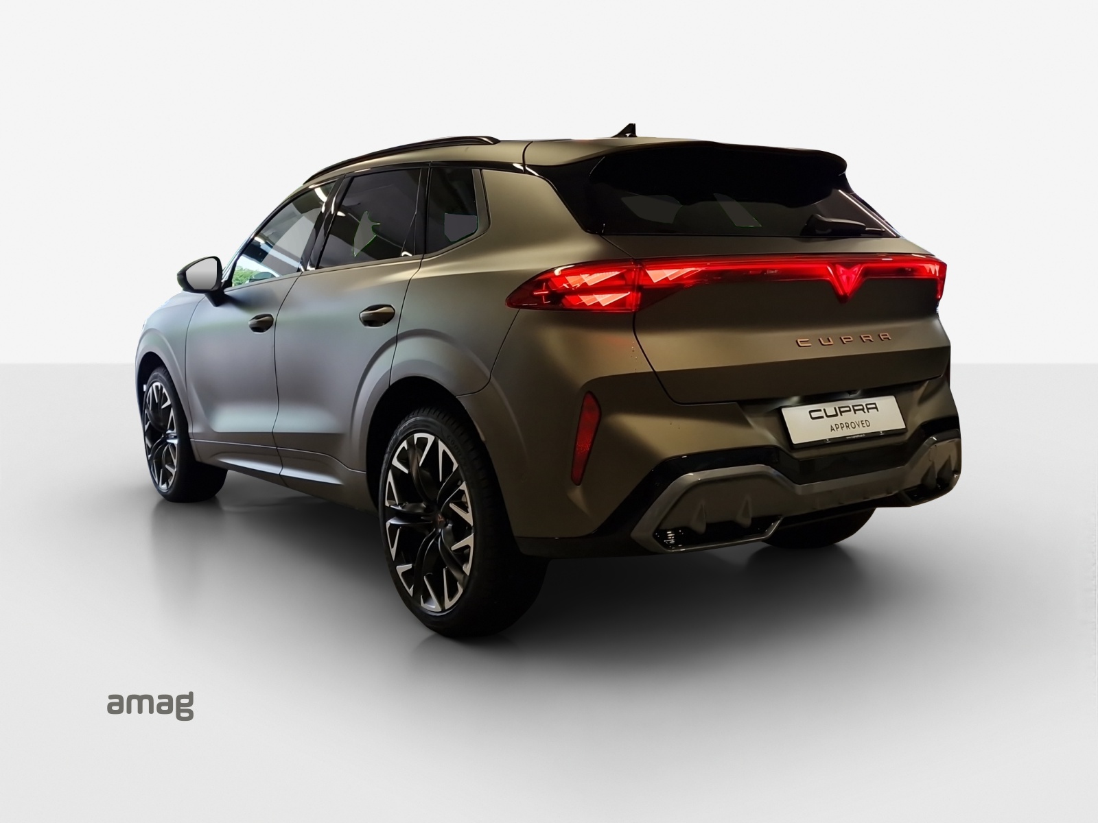 CUPRA Terramar 2.0 TSI DSG 4Drive-image-2