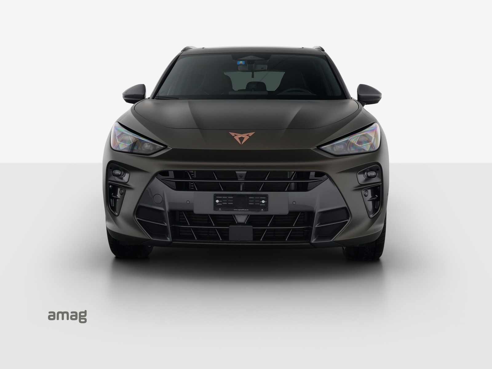 CUPRA Terramar 2.0 TSI DSG 4Drive-image-22