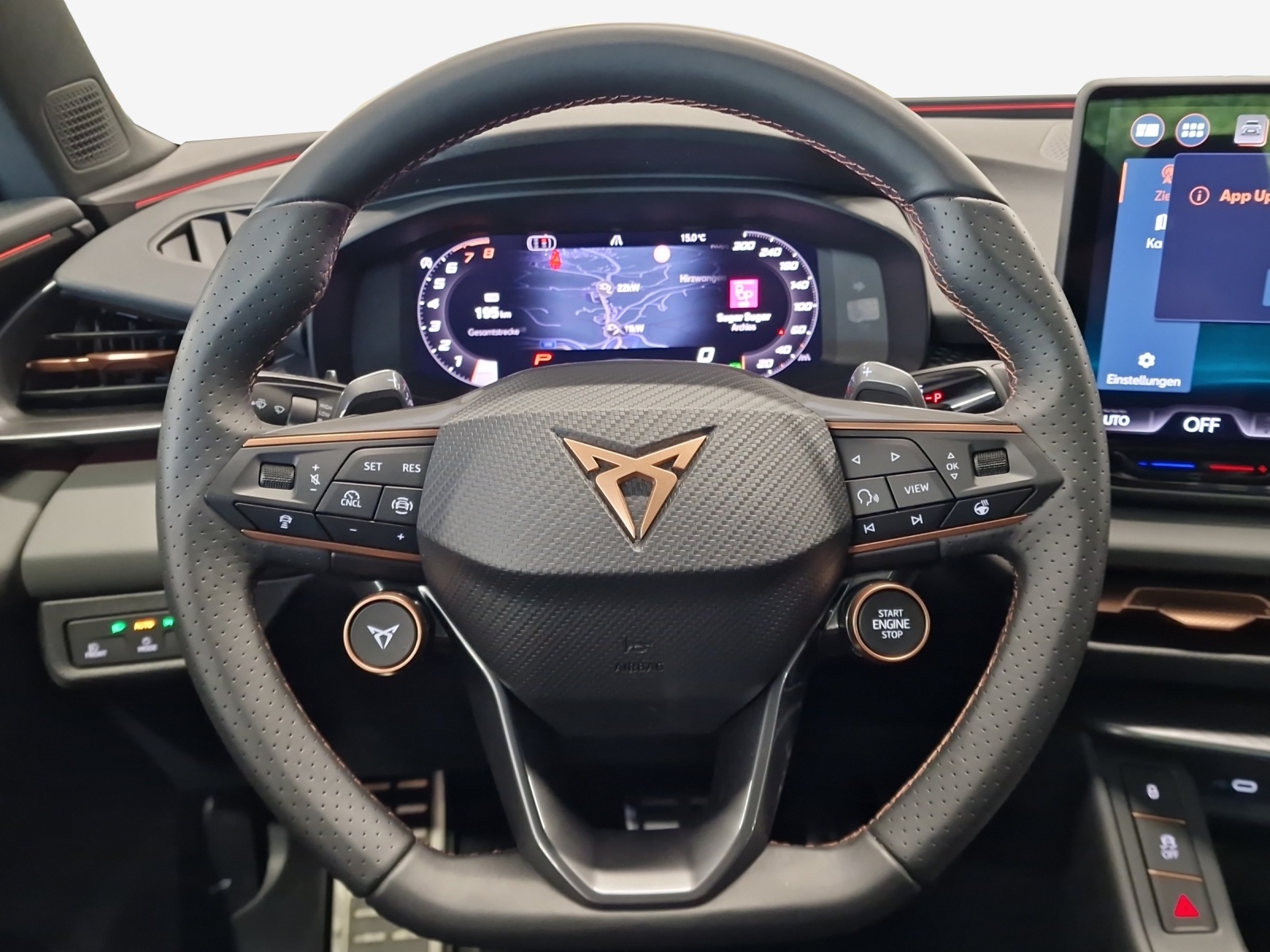 CUPRA Terramar 2.0 TSI DSG 4Drive-image-9
