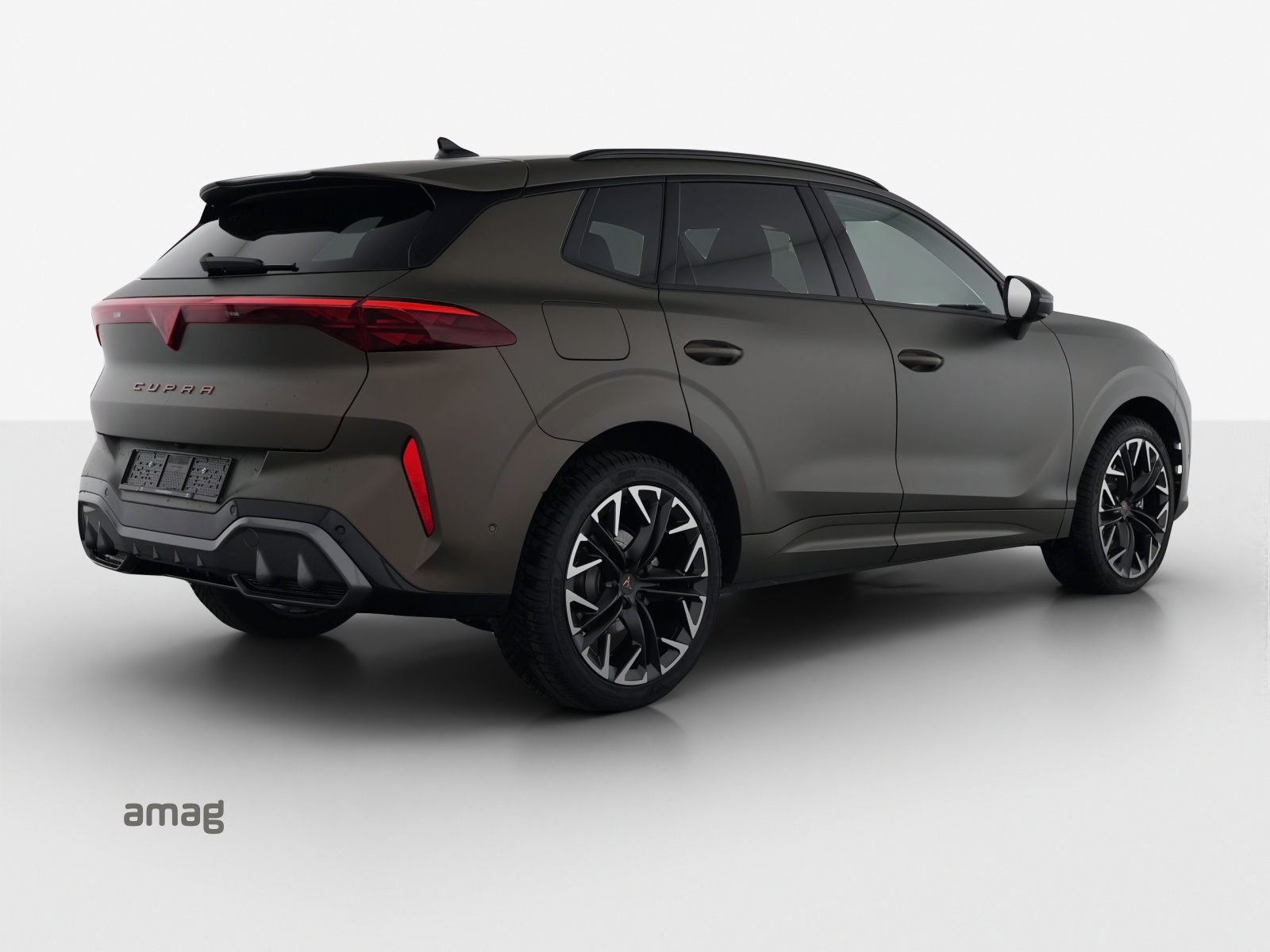 CUPRA Terramar 2.0 TSI DSG 4Drive-image-19