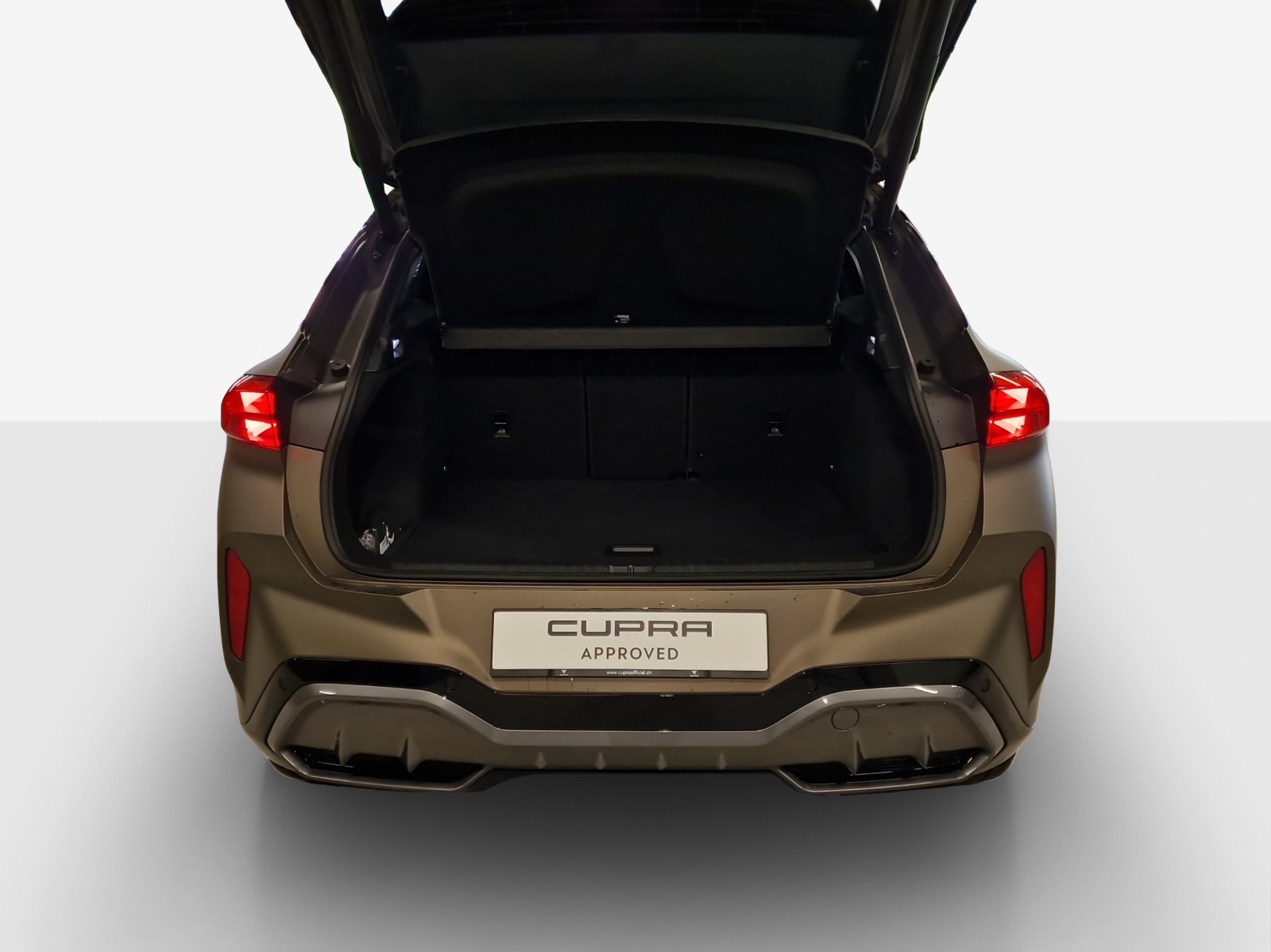 CUPRA Terramar 2.0 TSI DSG 4Drive-image-12