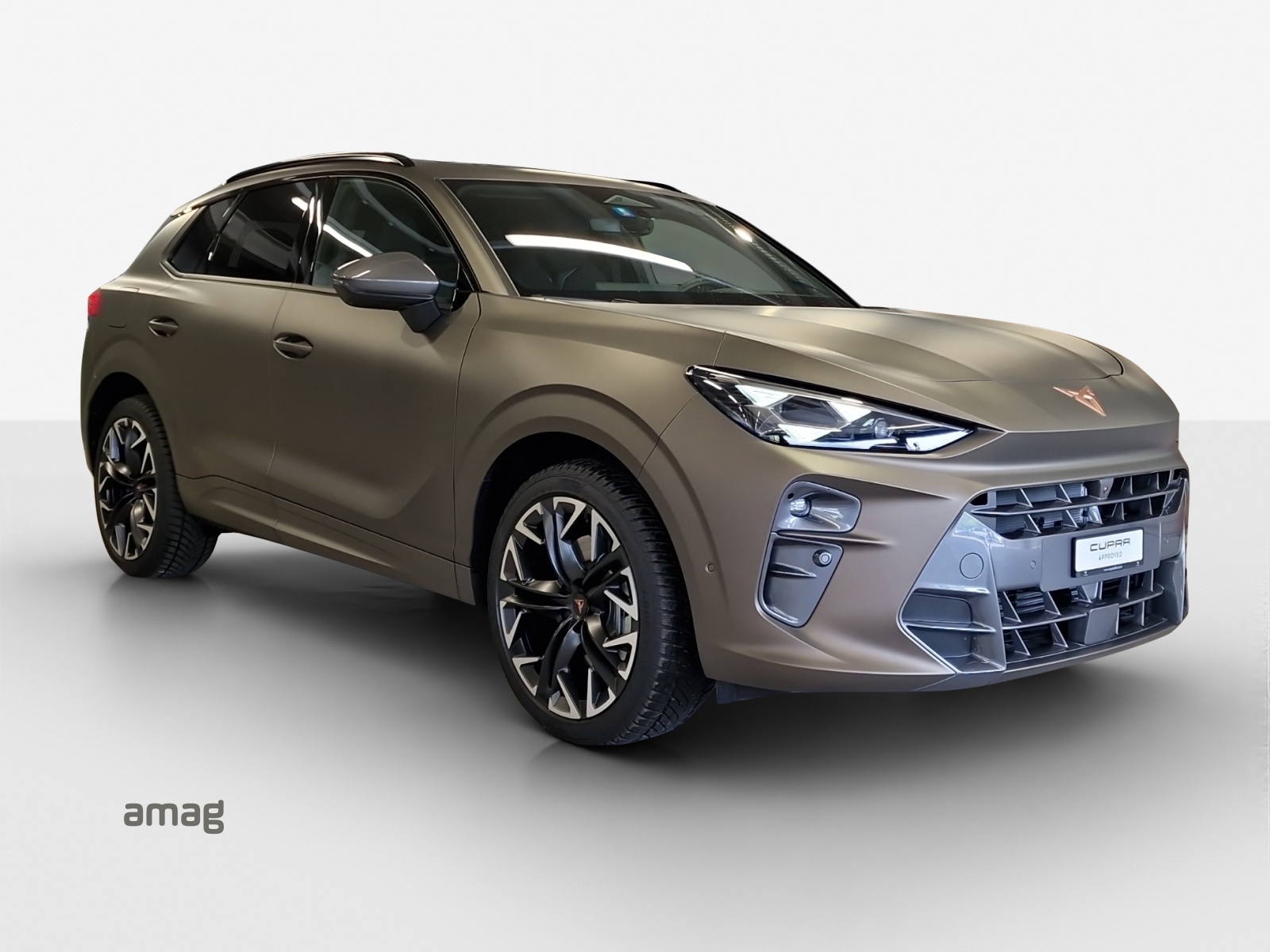 CUPRA Terramar 2.0 TSI DSG 4Drive-image-5