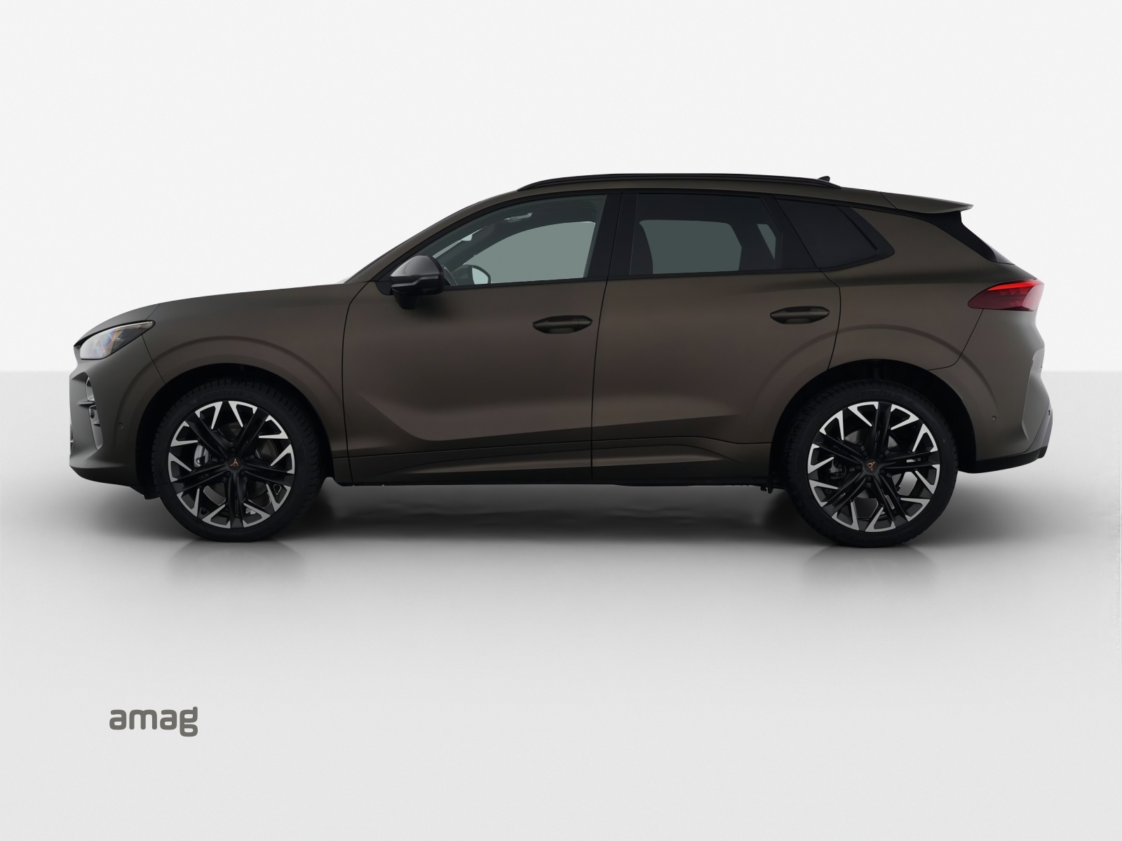 CUPRA Terramar 2.0 TSI DSG 4Drive-image-17