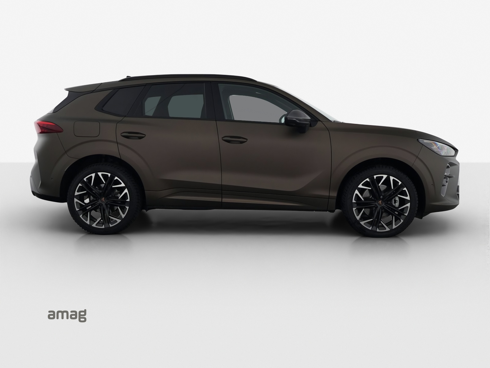 CUPRA Terramar 2.0 TSI DSG 4Drive-image-20