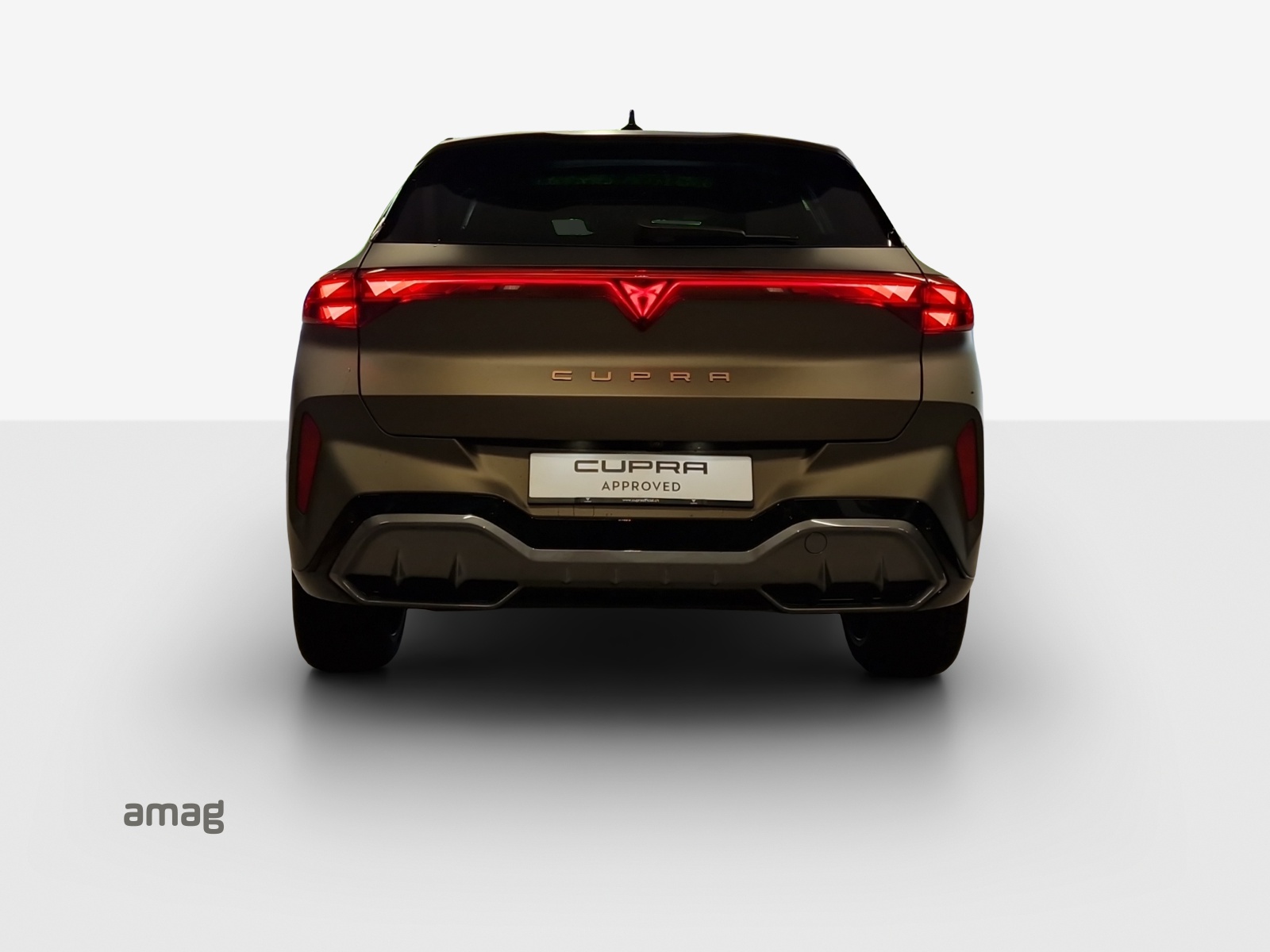 CUPRA Terramar 2.0 TSI DSG 4Drive-image-3