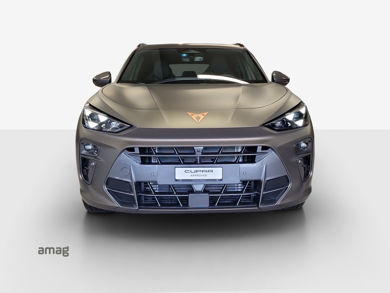 CUPRA Terramar 2.0 TSI DSG 4Drive-image-6