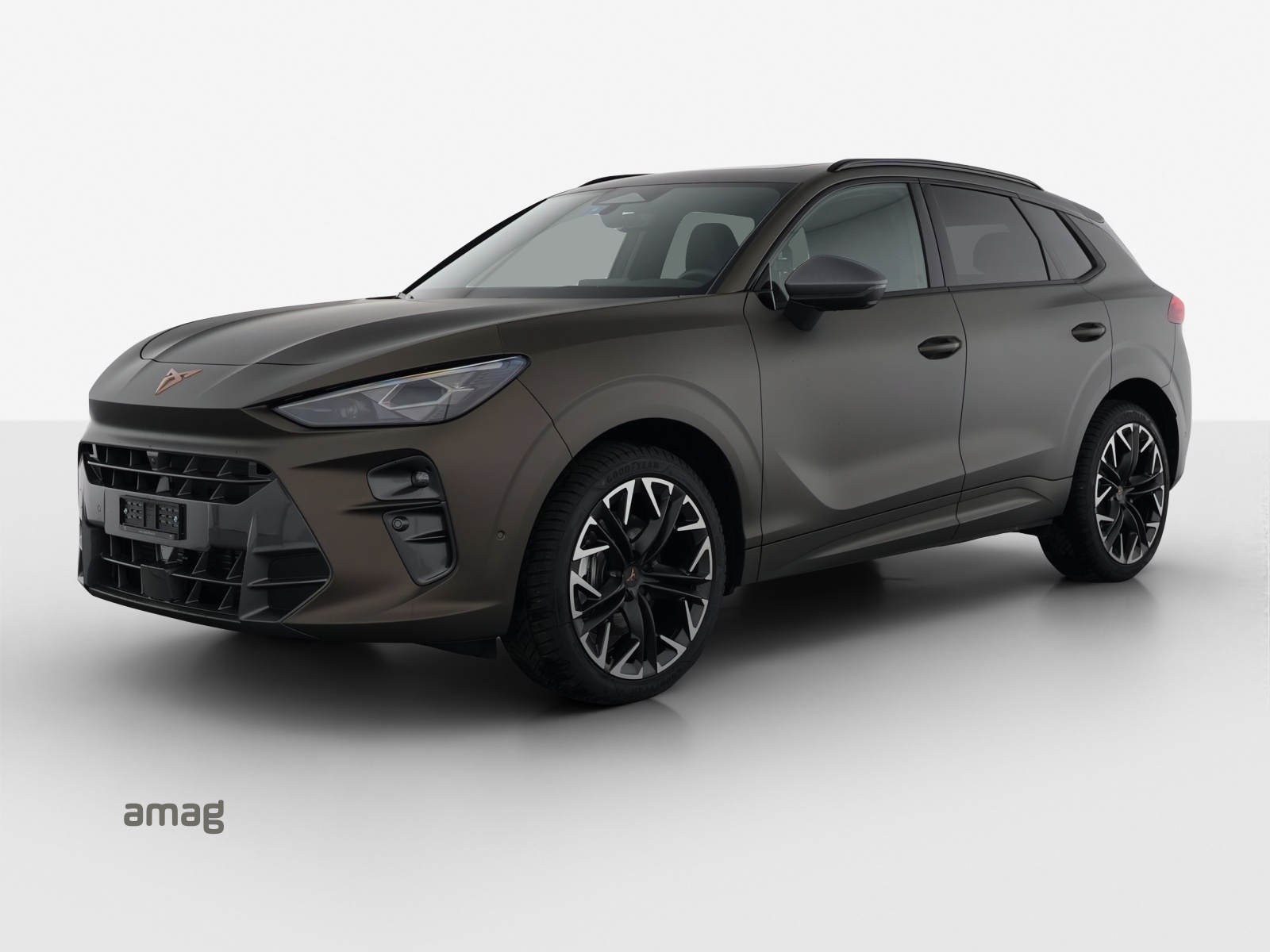 CUPRA Terramar 2.0 TSI DSG 4Drive-image-16