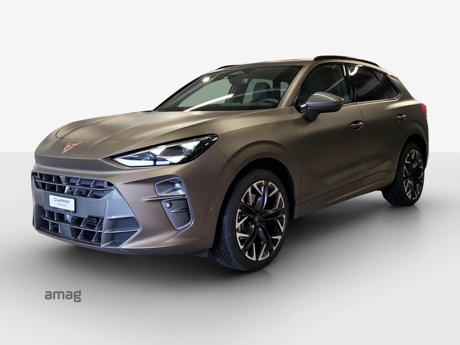 CUPRA Terramar 2.0 TSI DSG 4Drive-image-0