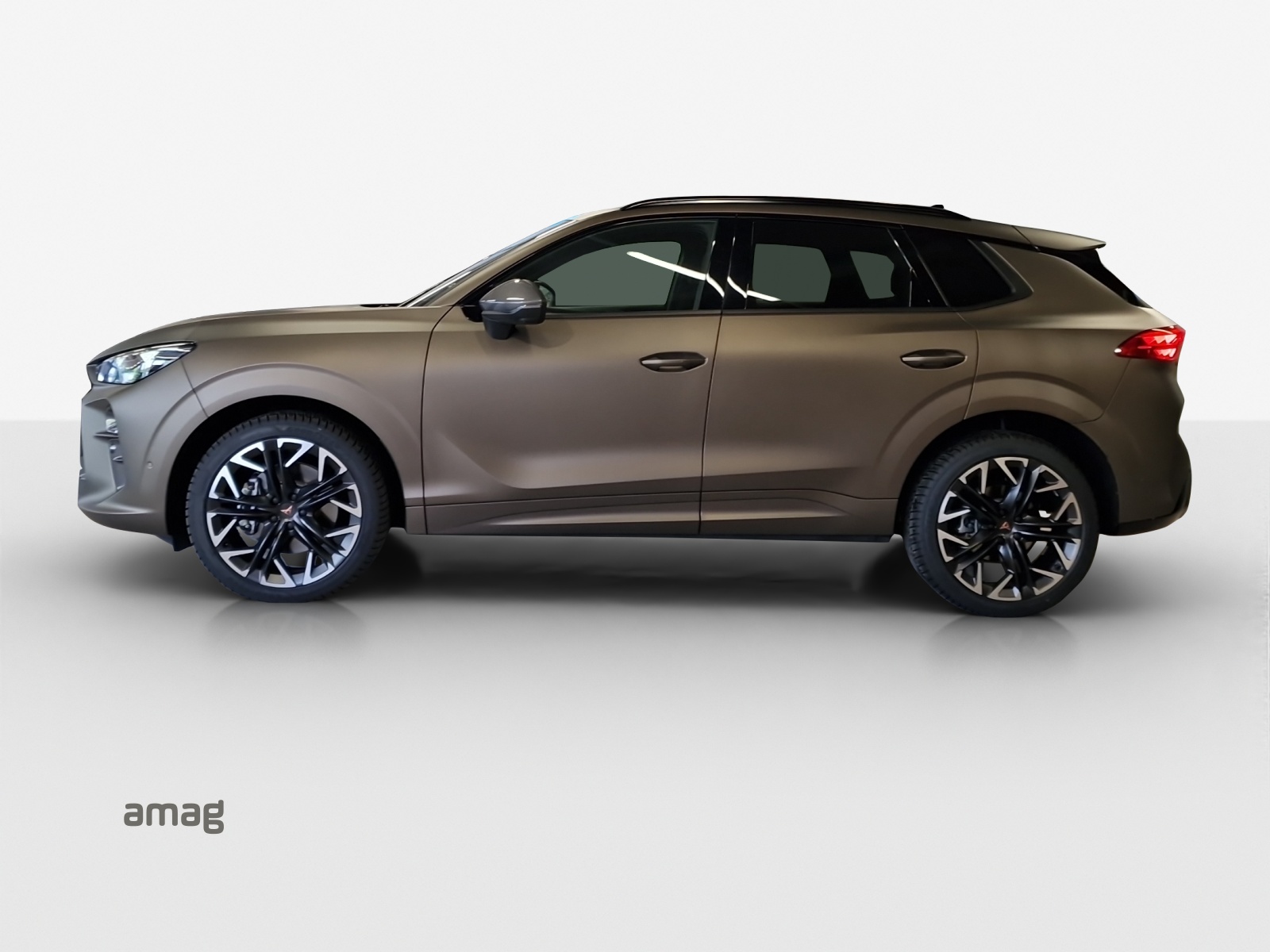 CUPRA Terramar 2.0 TSI DSG 4Drive-image-1