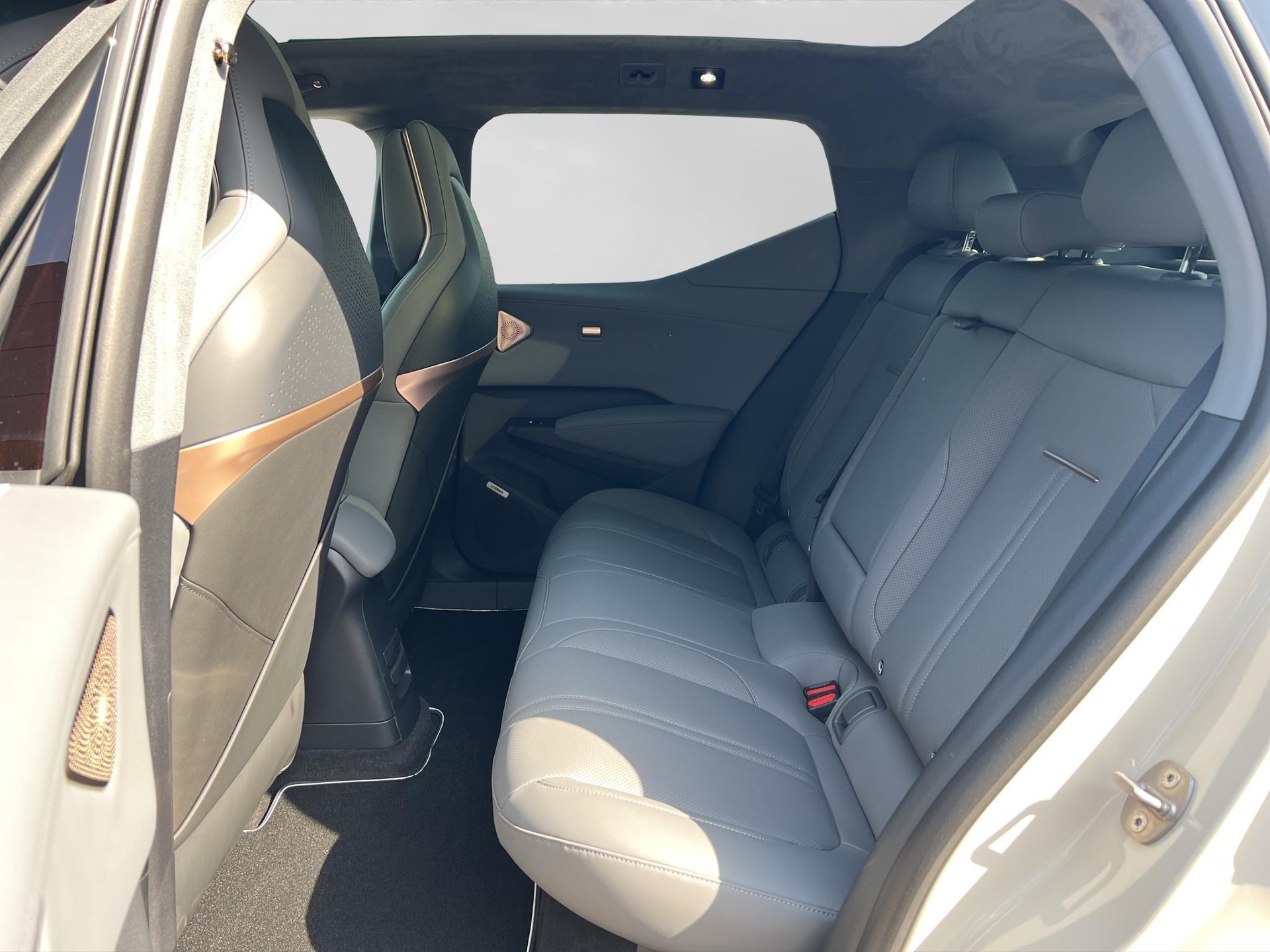 ZEEKR X Privilege AWD-image-4
