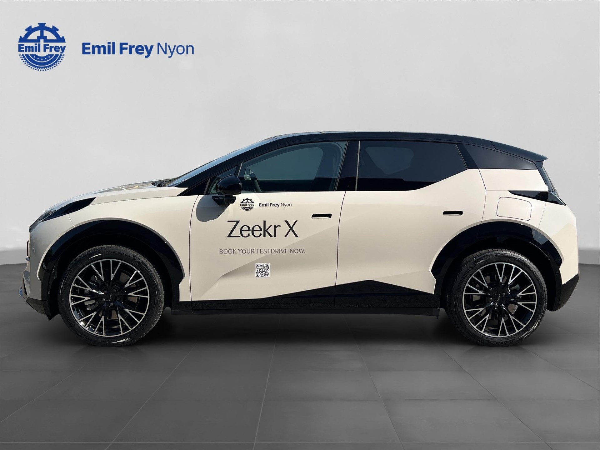 ZEEKR X Privilege AWD-image-1