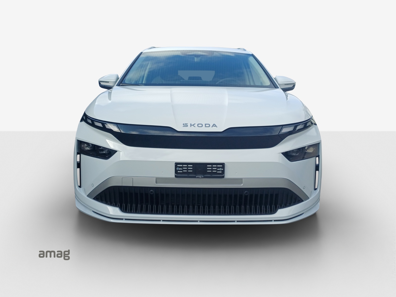 SKODA Enyaq 85x Dynamic 4x4-image-6