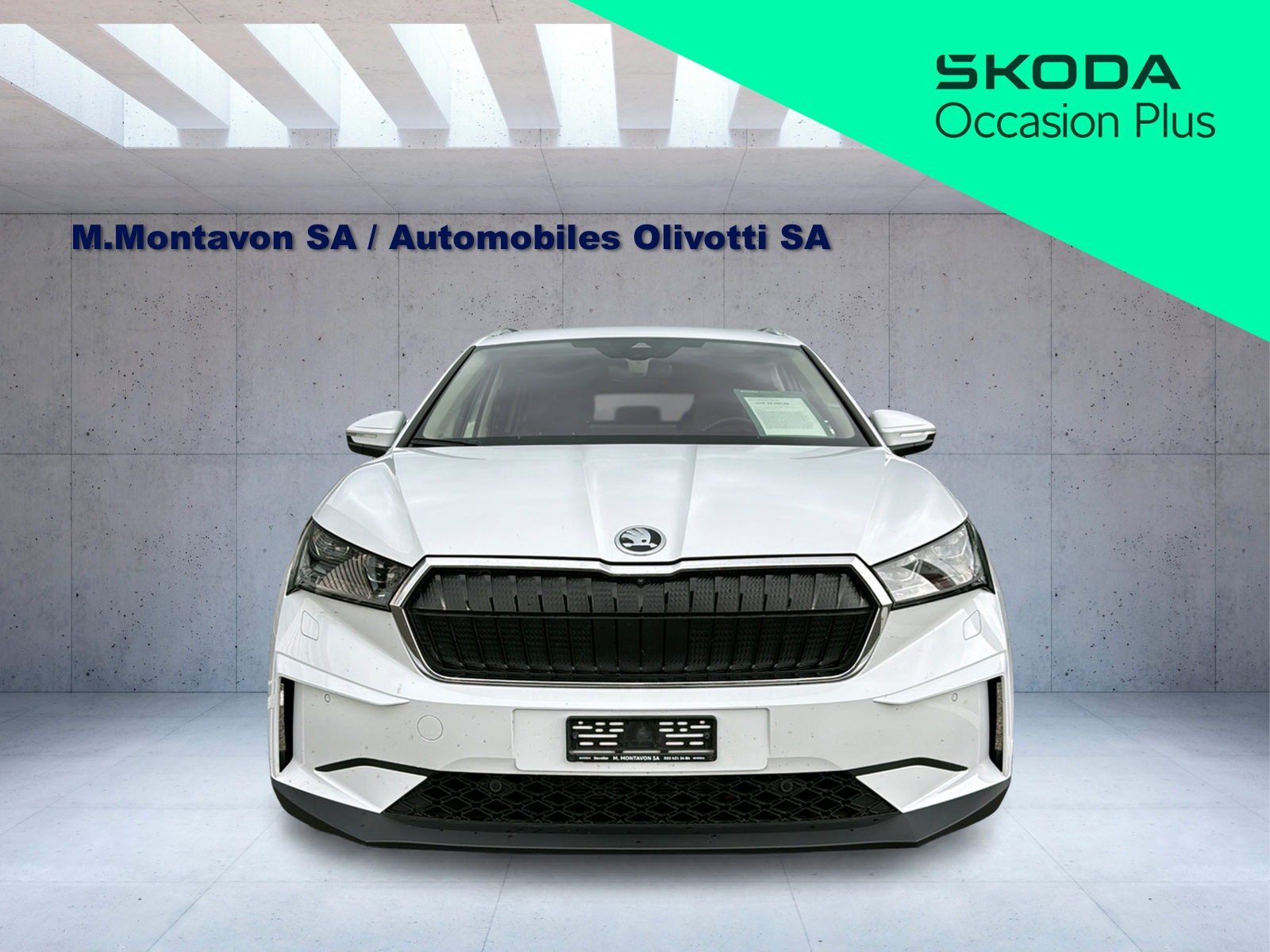 SKODA Enyaq iV 80-image-1