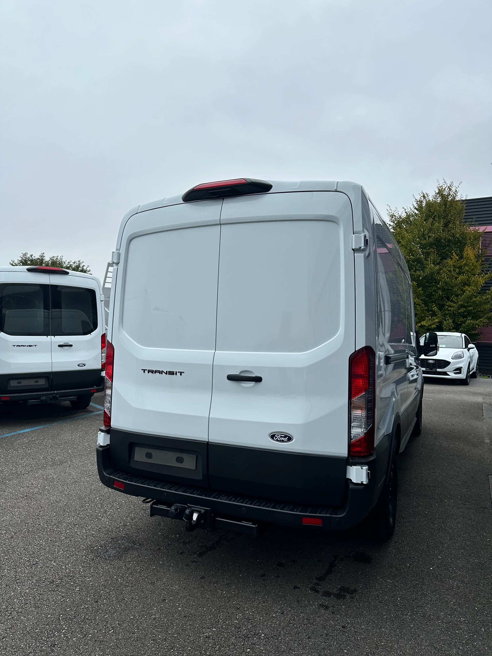FORD Transit van 350 L3H2 2.0 EcoBl Trend/165CV/Aut.RWD-image-6