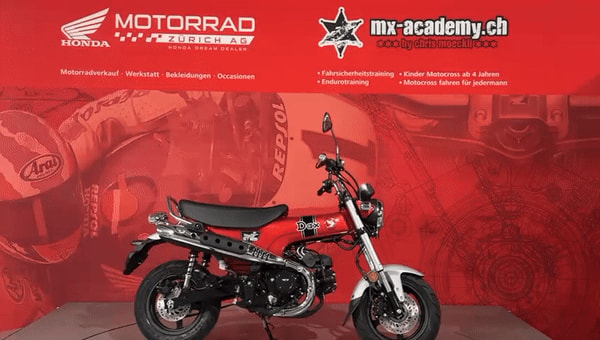 HONDA St 125 Dax*Neufahrzeug*
