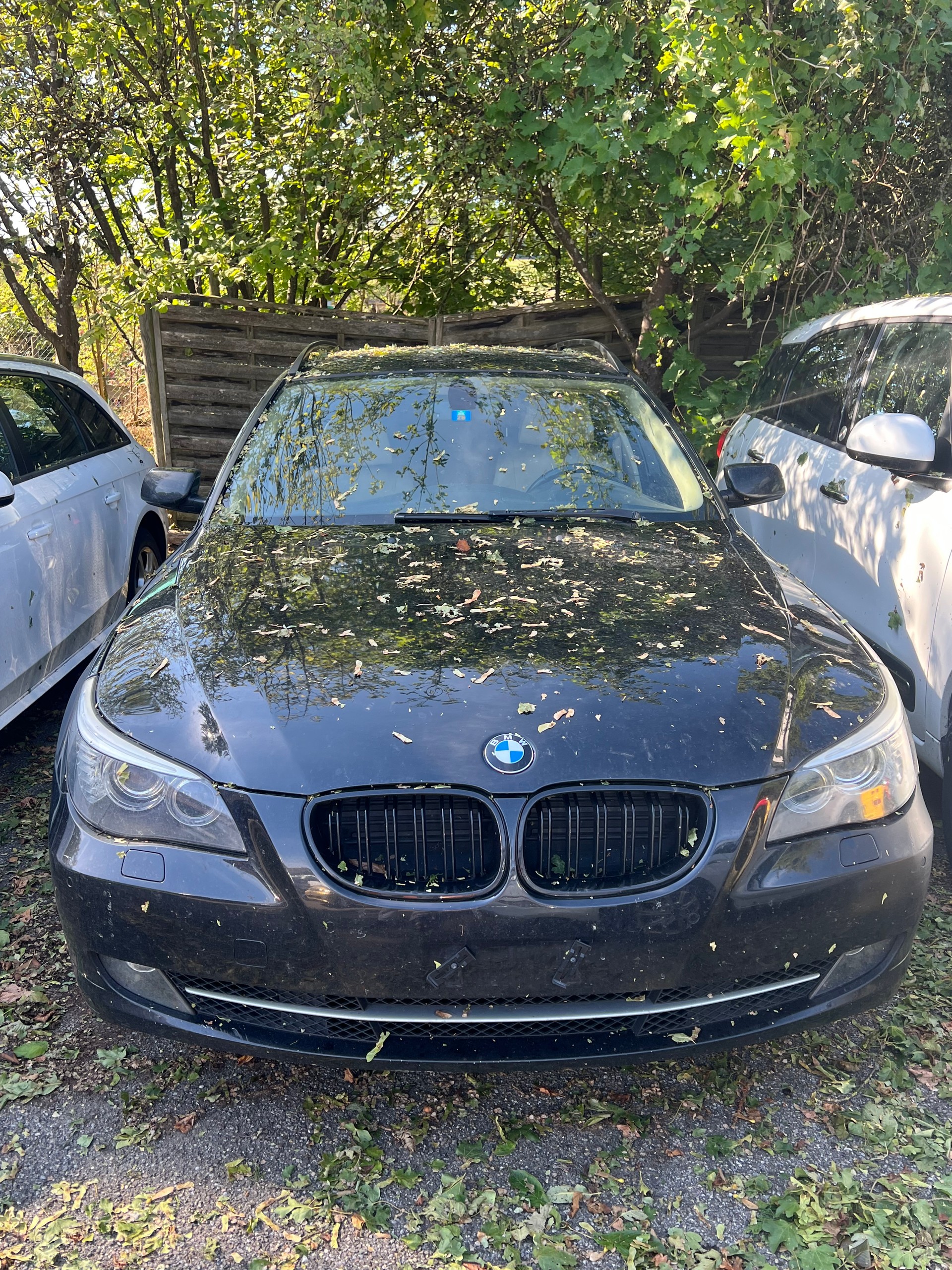 BMW 530xd Touring more4you Steptronic-image-0