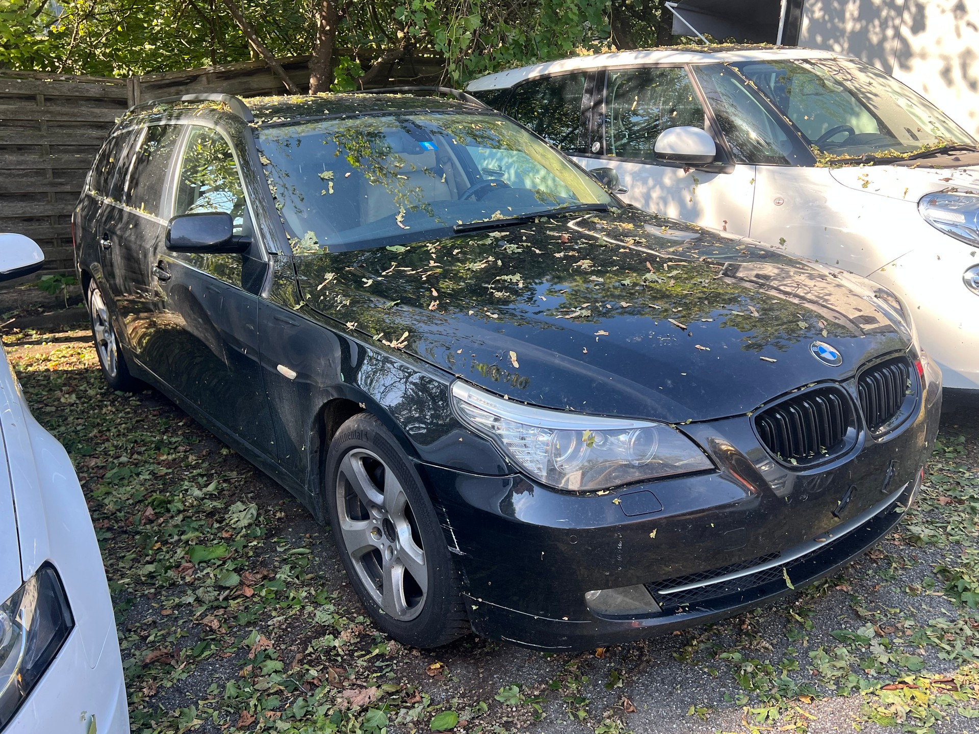 BMW 530xd Touring more4you Steptronic-image-1
