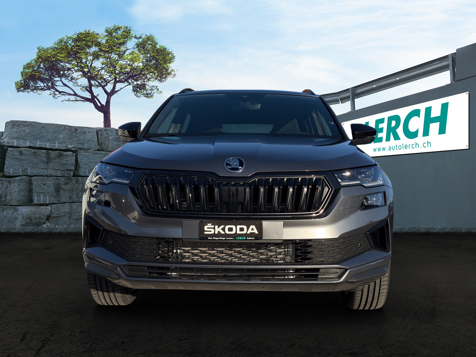 SKODA Karoq 2.0 TSI Dynamic Limited Edition 4x4 DSG-image-1