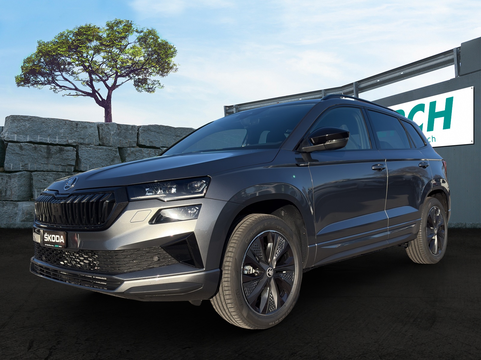 SKODA Karoq 2.0 TSI Dynamic Limited Edition 4x4 DSG-image-0