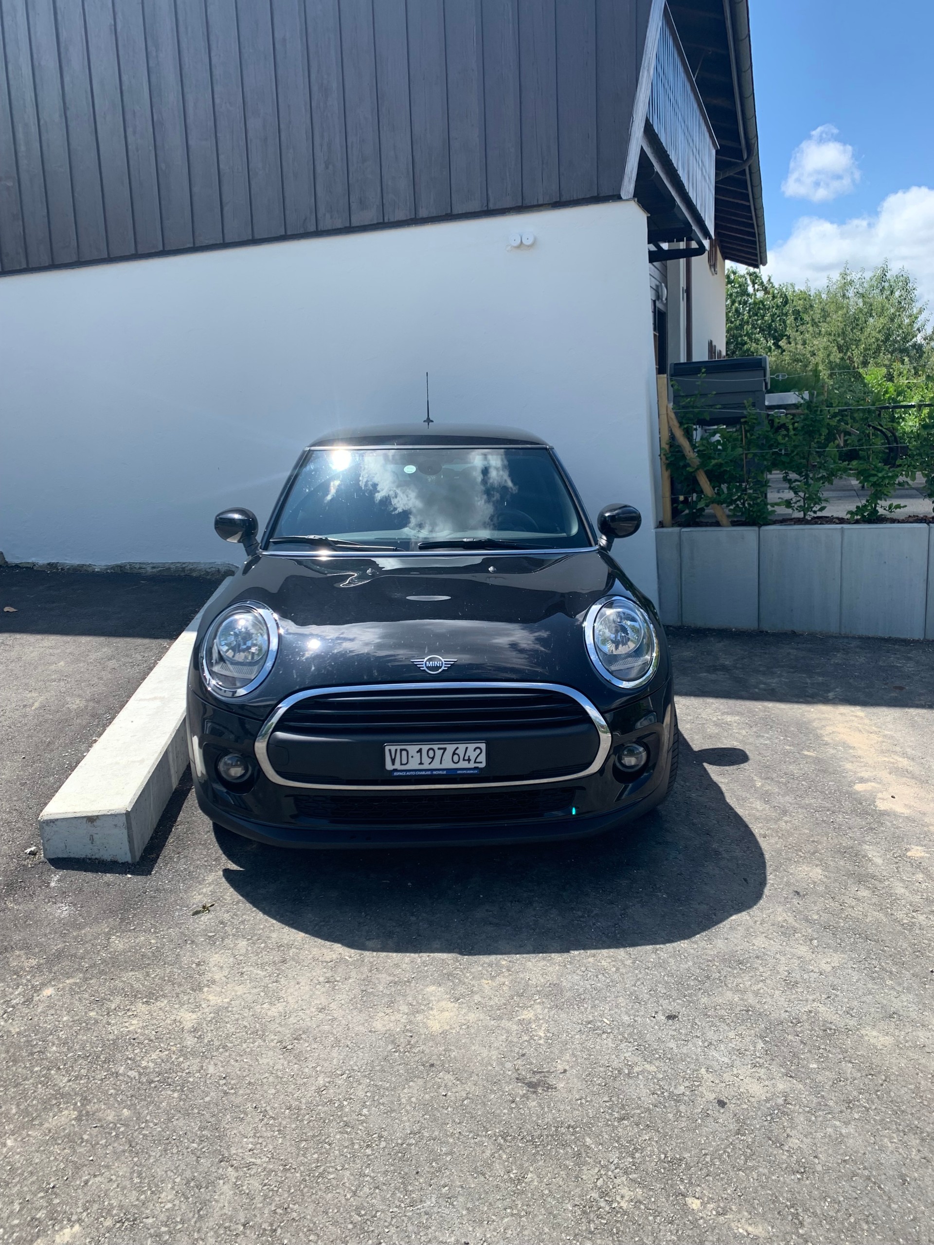 MINI One Blackyard-image-0