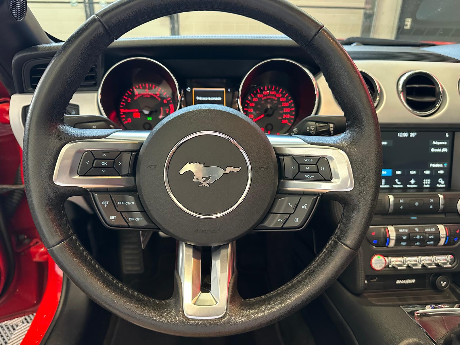 FORD Mustang Convertible 2.3-image-18
