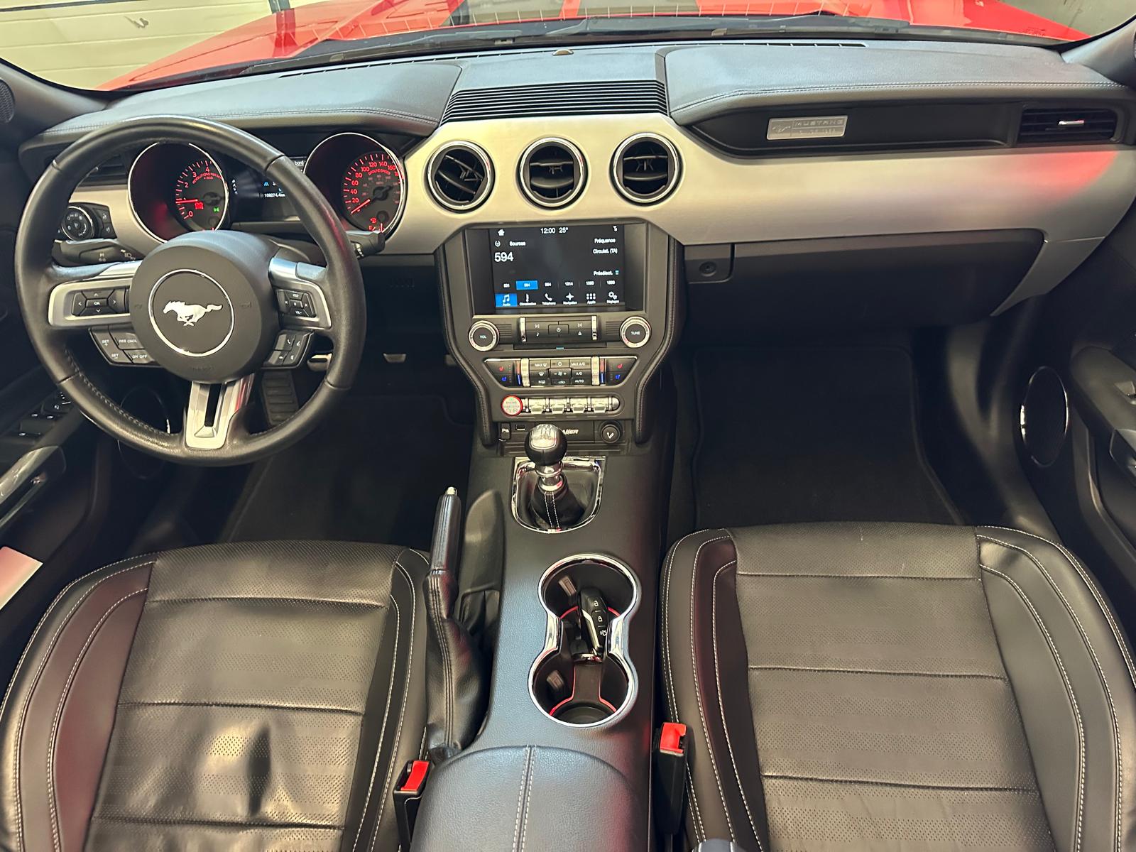 FORD Mustang Convertible 2.3-image-16