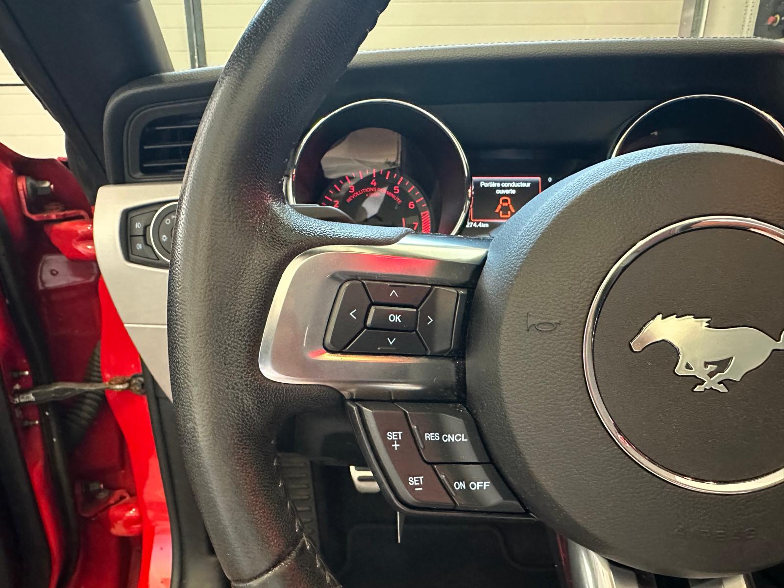 FORD Mustang Convertible 2.3-image-19