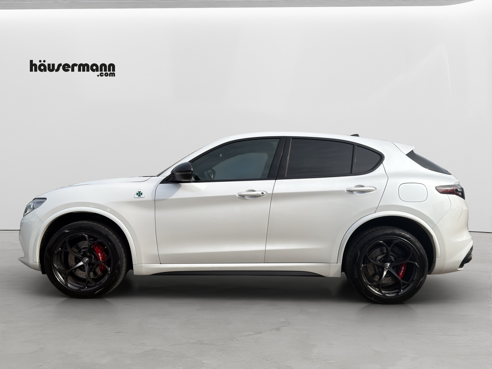 ALFA ROMEO Stelvio 2.9 V6 Biturbo Q4 Quadrifoglio-image-1