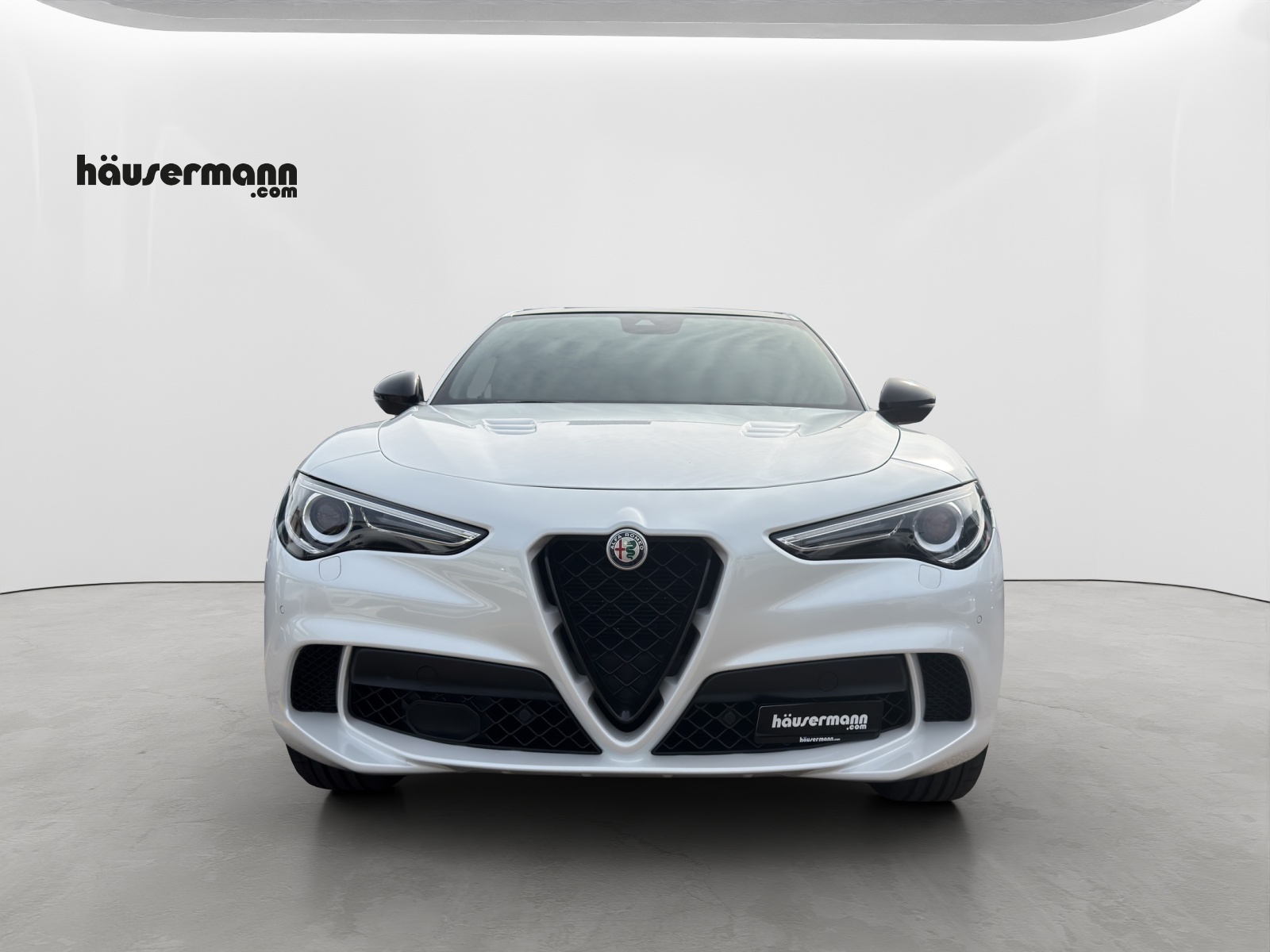 ALFA ROMEO Stelvio 2.9 V6 Biturbo Q4 Quadrifoglio-image-4