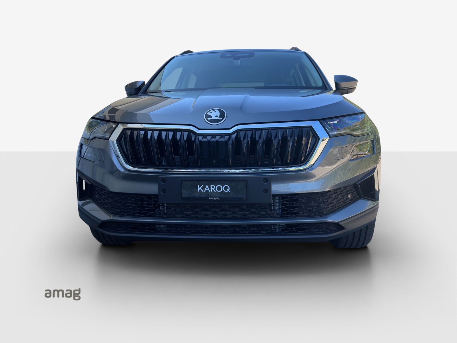 SKODA Karoq 2.0 TDI CR Dynamic 4x4 DSG-image-6