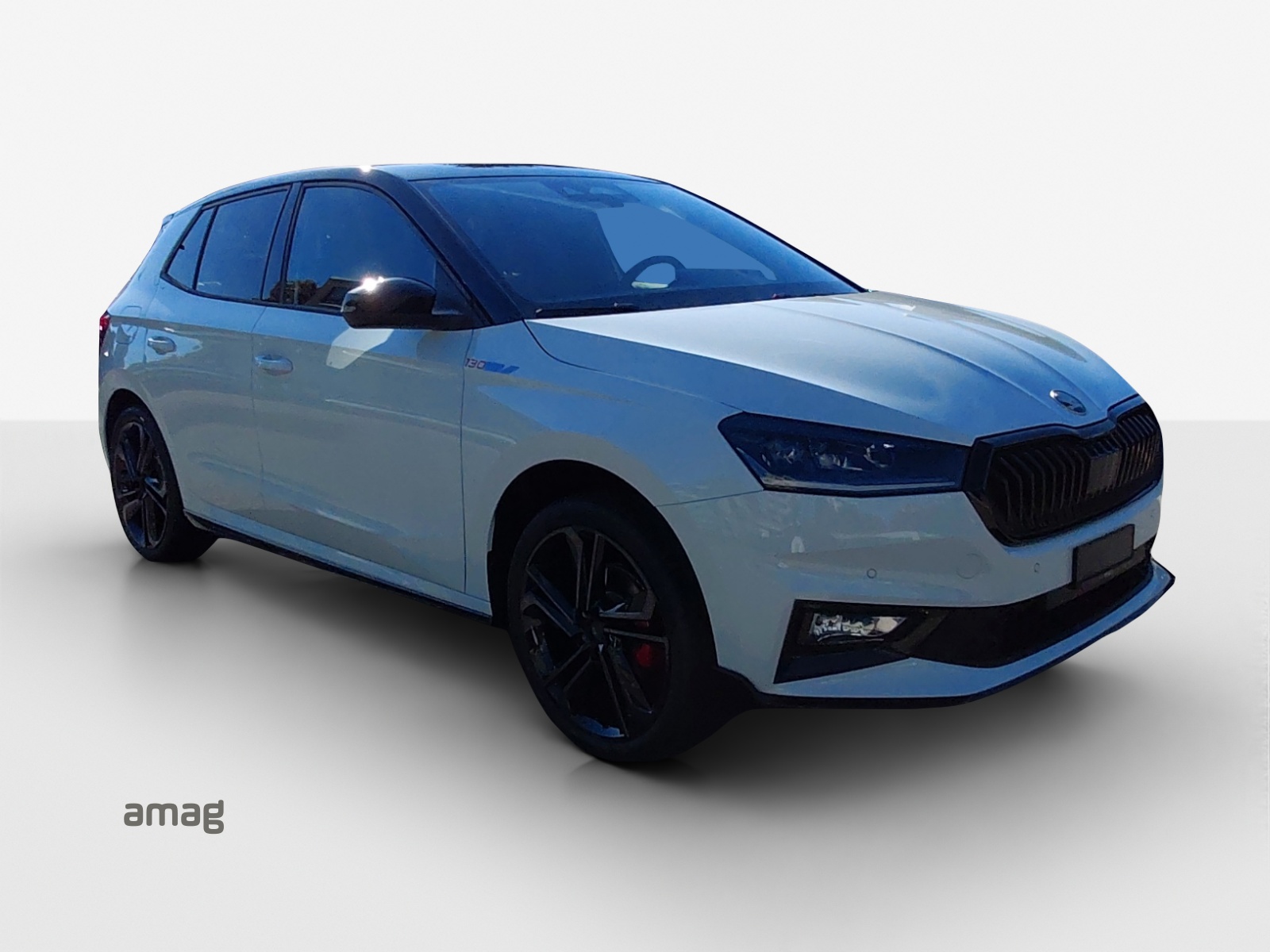 SKODA Fabia 1.5 TSI 130 DSG-image-5