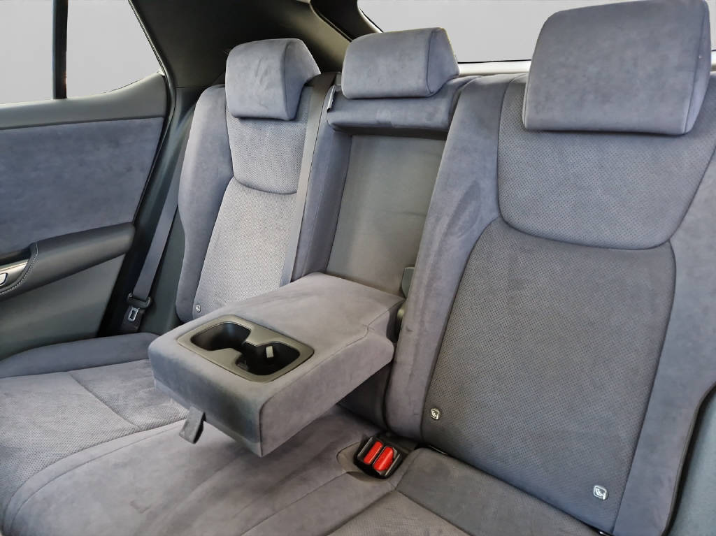 LEXUS RZ 450e Excellence 46798/028-image-16
