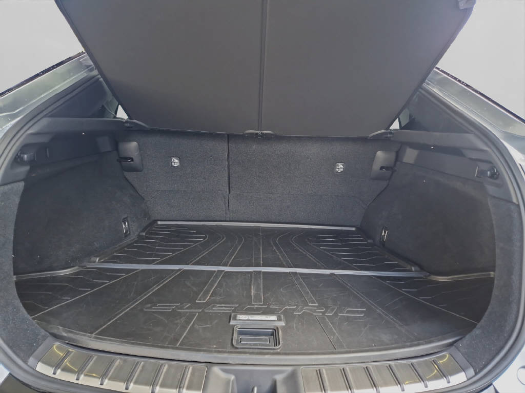 LEXUS RZ 450e Excellence 46798/028-image-21